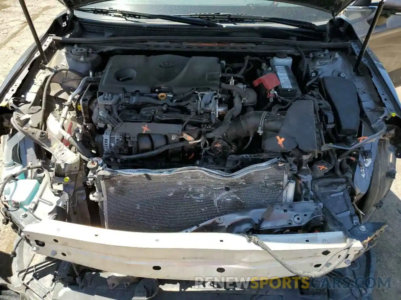 7 Photograph of a damaged car 4T1B11HK0KU760793 TOYOTA CAMRY 2019