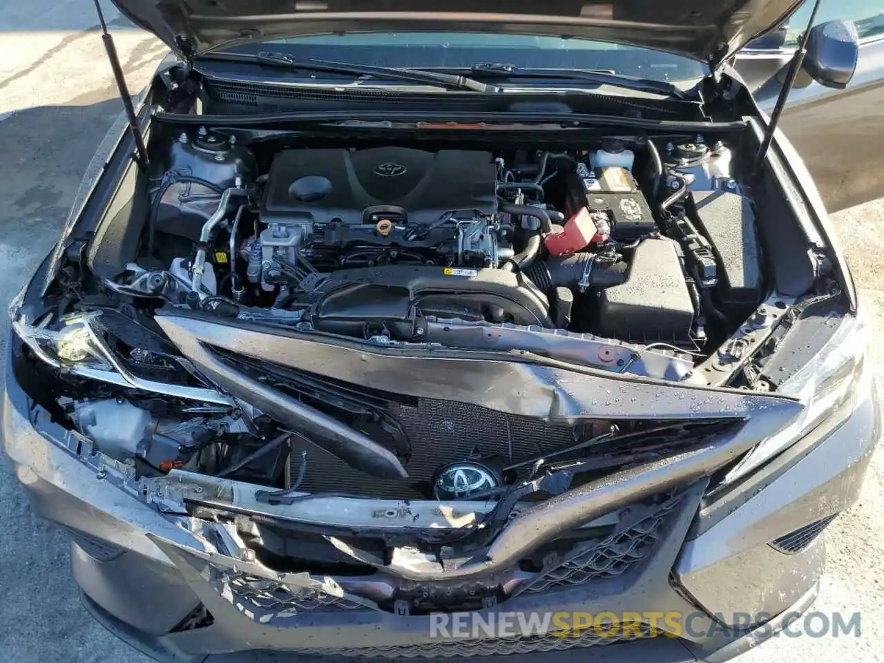 7 Photograph of a damaged car 4T1B11HK0KU765167 TOYOTA CAMRY 2019