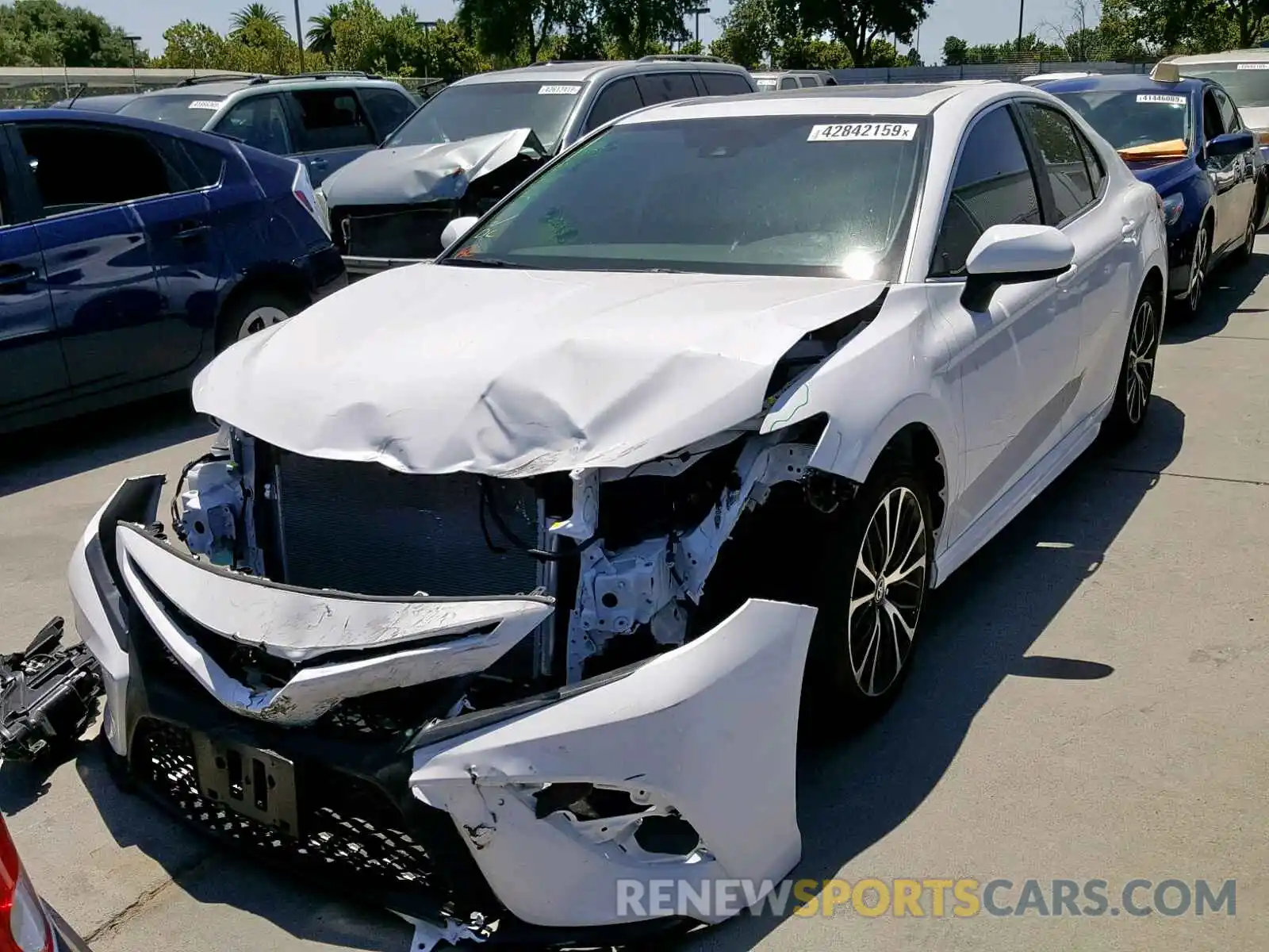 2 Photograph of a damaged car 4T1B11HK0KU768408 TOYOTA CAMRY 2019