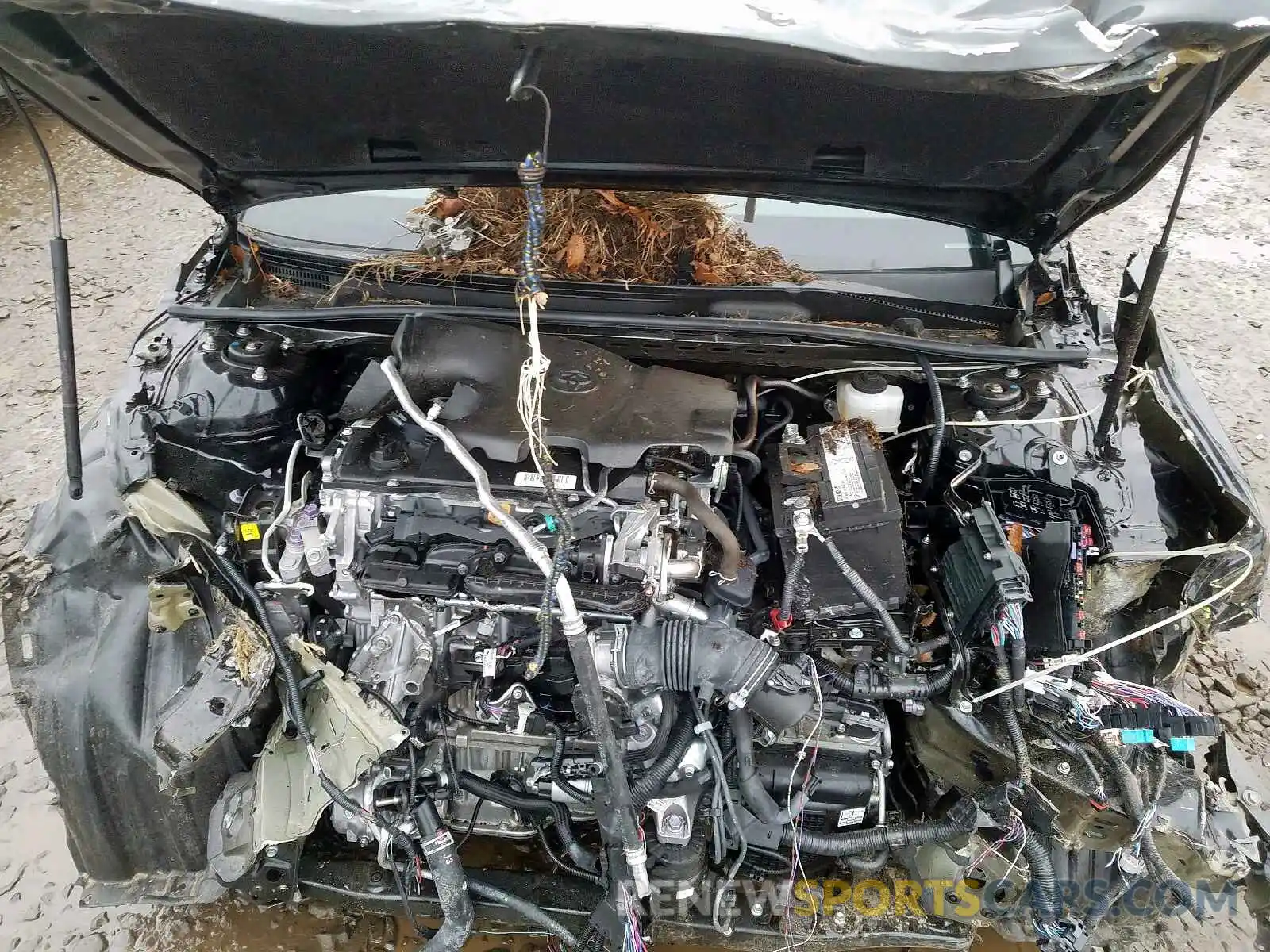 7 Photograph of a damaged car 4T1B11HK0KU770787 TOYOTA CAMRY 2019