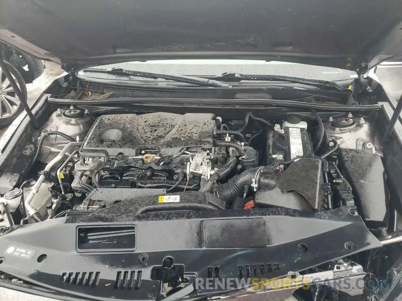 7 Photograph of a damaged car 4T1B11HK0KU772376 TOYOTA CAMRY 2019