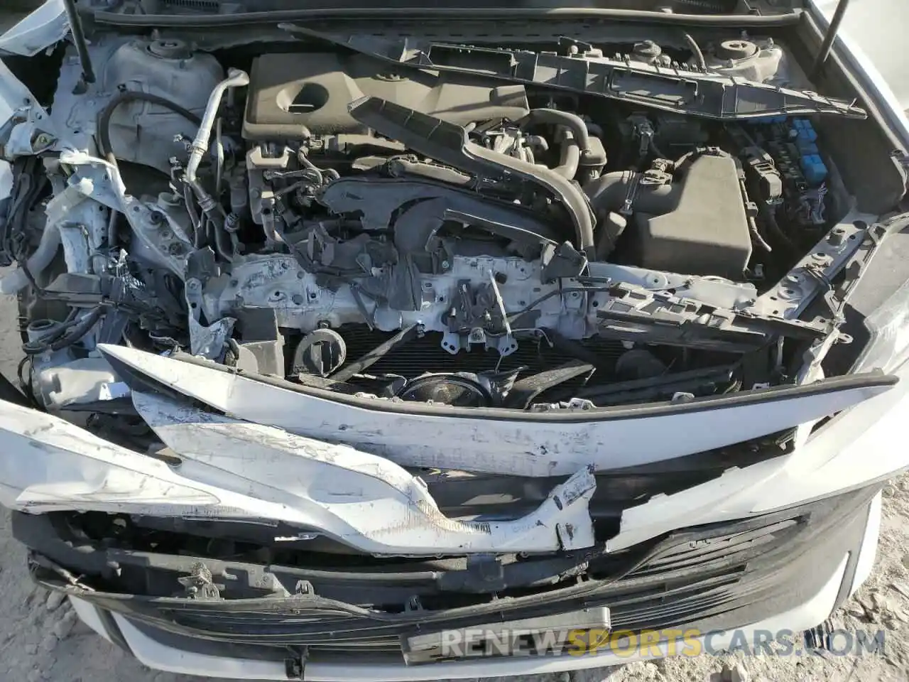 7 Photograph of a damaged car 4T1B11HK0KU773186 TOYOTA CAMRY 2019