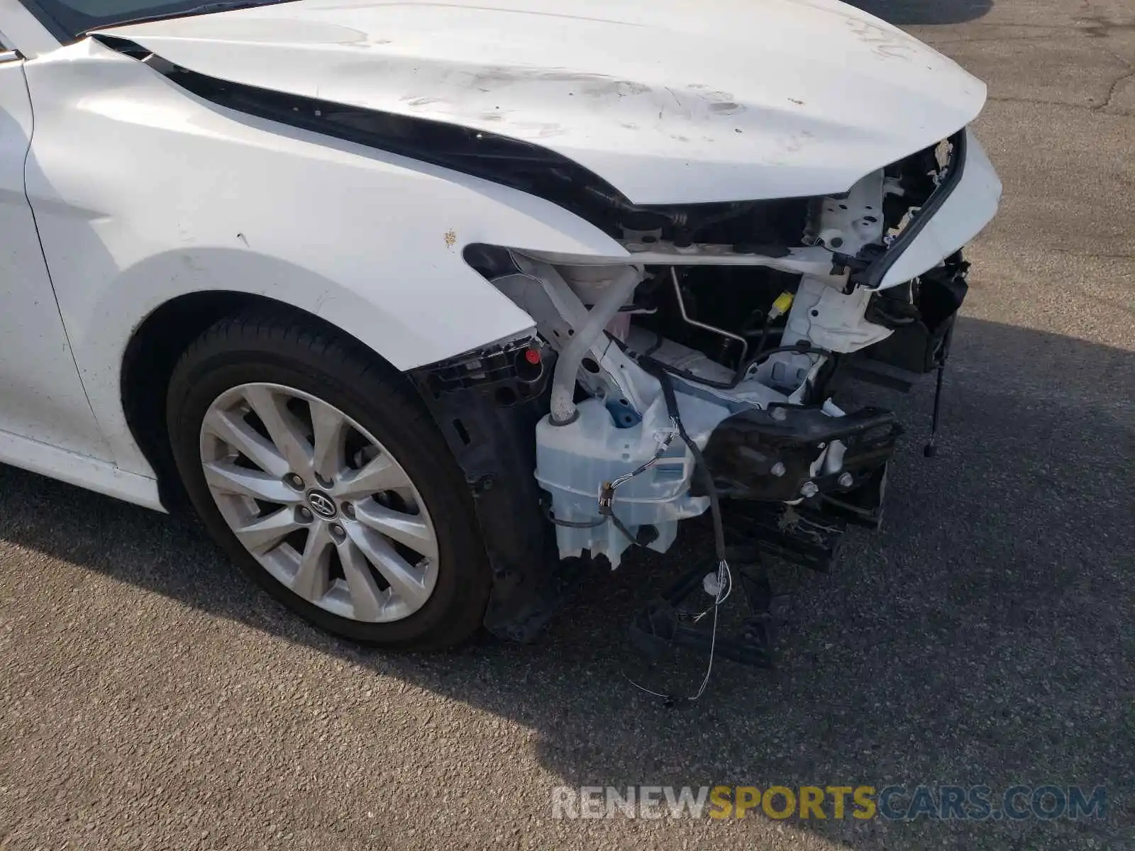 9 Photograph of a damaged car 4T1B11HK0KU784754 TOYOTA CAMRY 2019