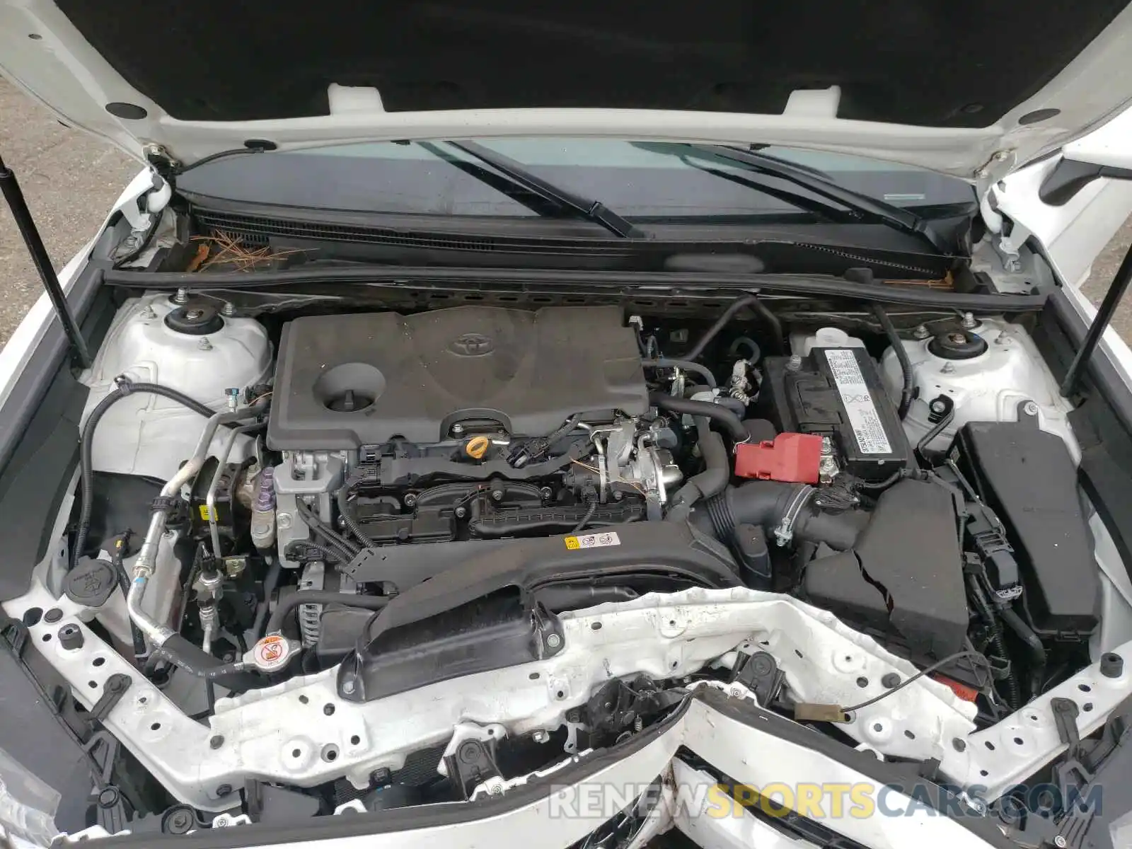 7 Photograph of a damaged car 4T1B11HK0KU789730 TOYOTA CAMRY 2019