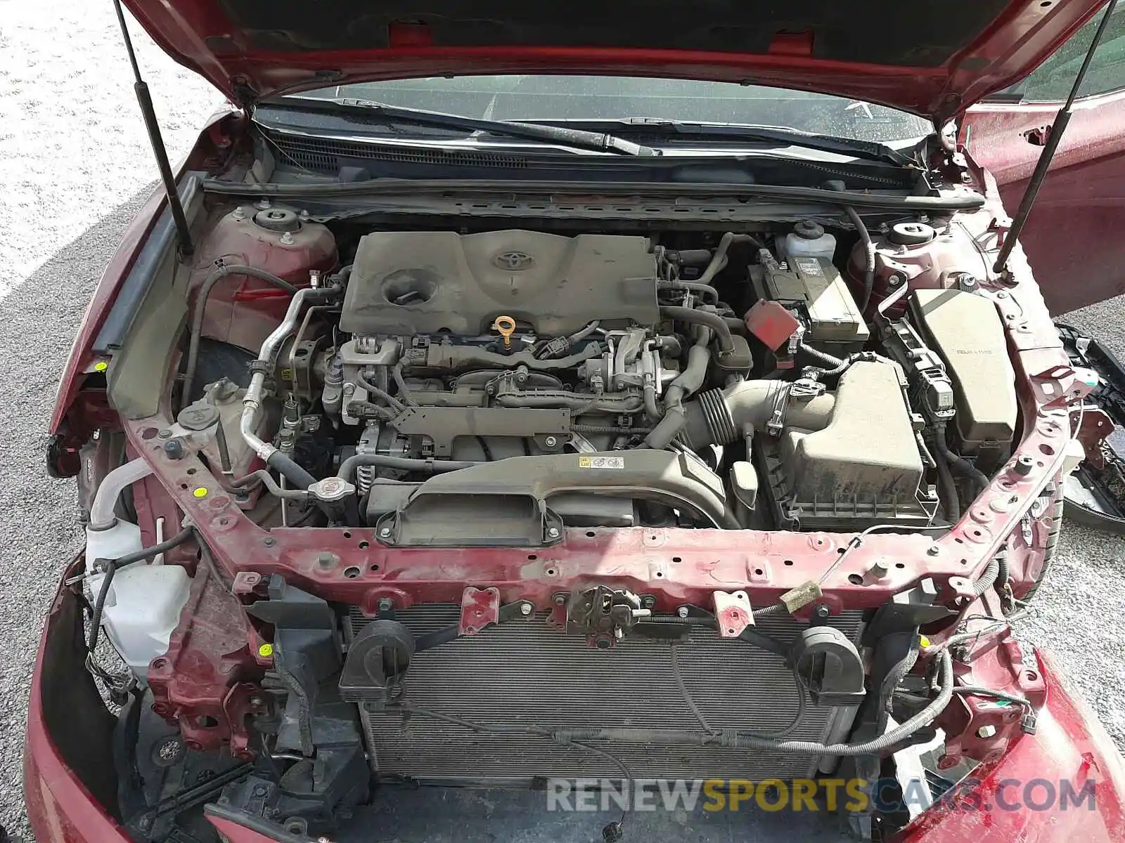 7 Photograph of a damaged car 4T1B11HK0KU804291 TOYOTA CAMRY 2019