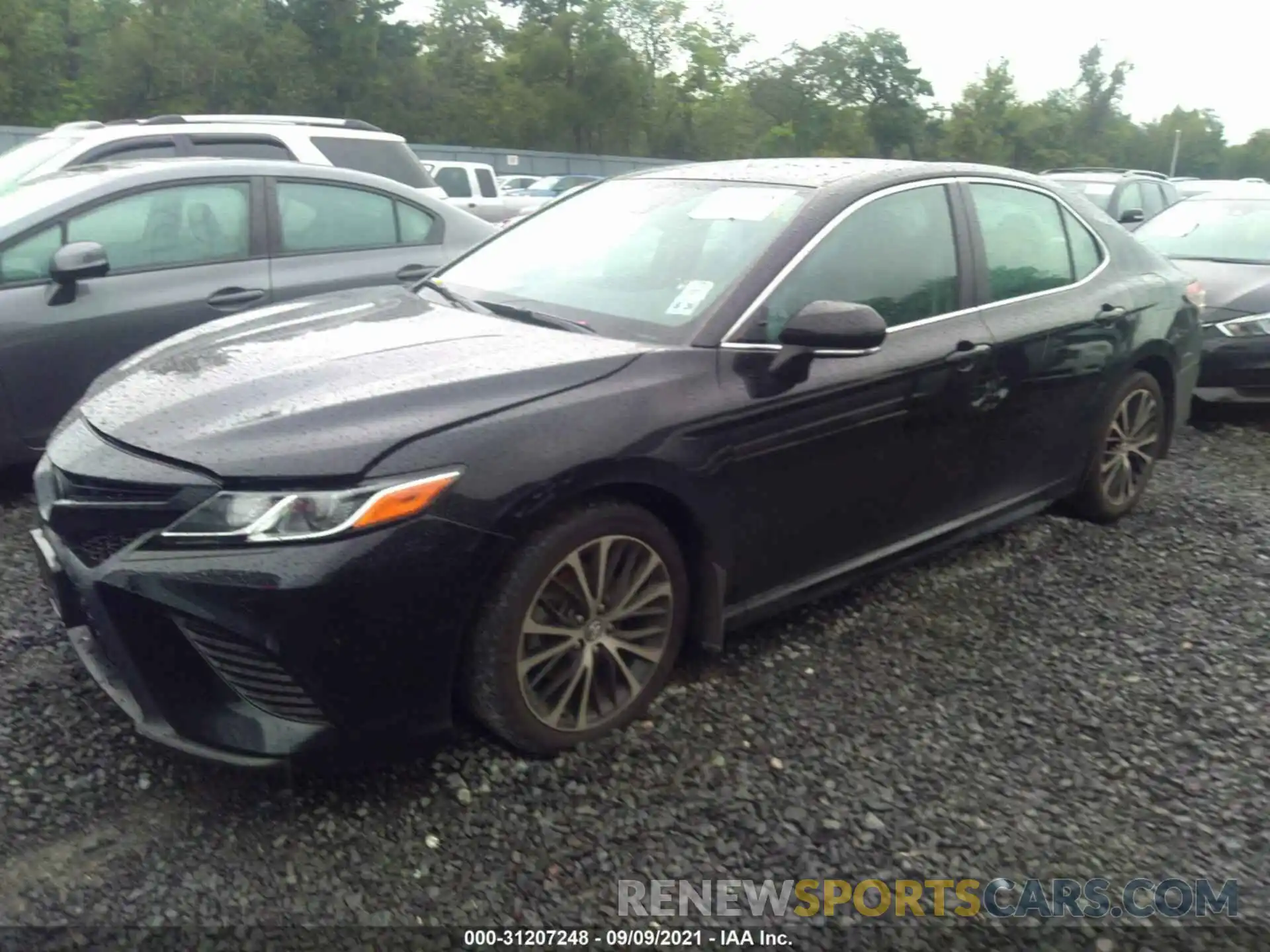 2 Photograph of a damaged car 4T1B11HK0KU804730 TOYOTA CAMRY 2019