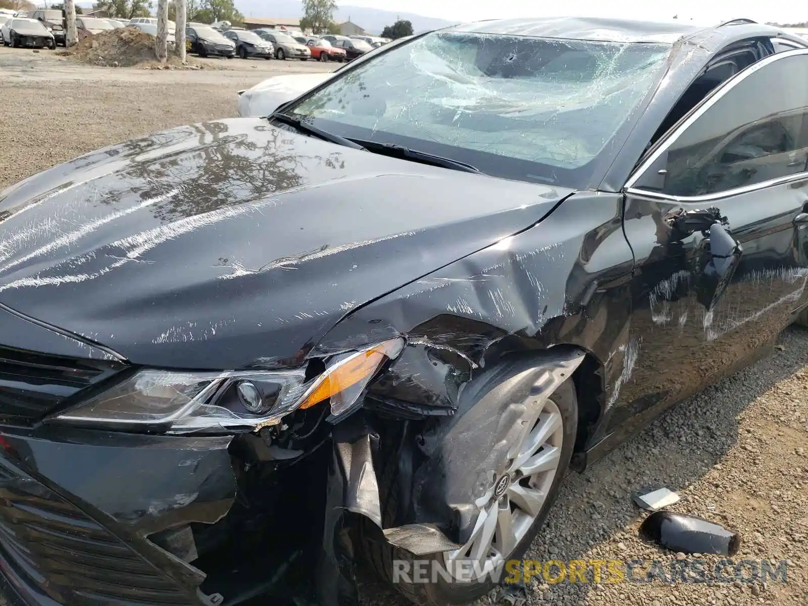 9 Photograph of a damaged car 4T1B11HK0KU805084 TOYOTA CAMRY 2019