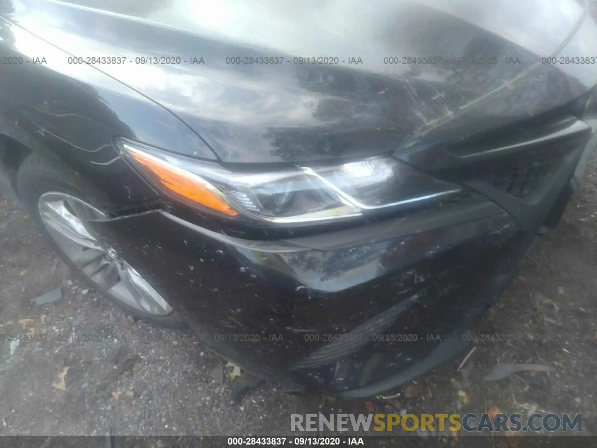 6 Photograph of a damaged car 4T1B11HK0KU808874 TOYOTA CAMRY 2019