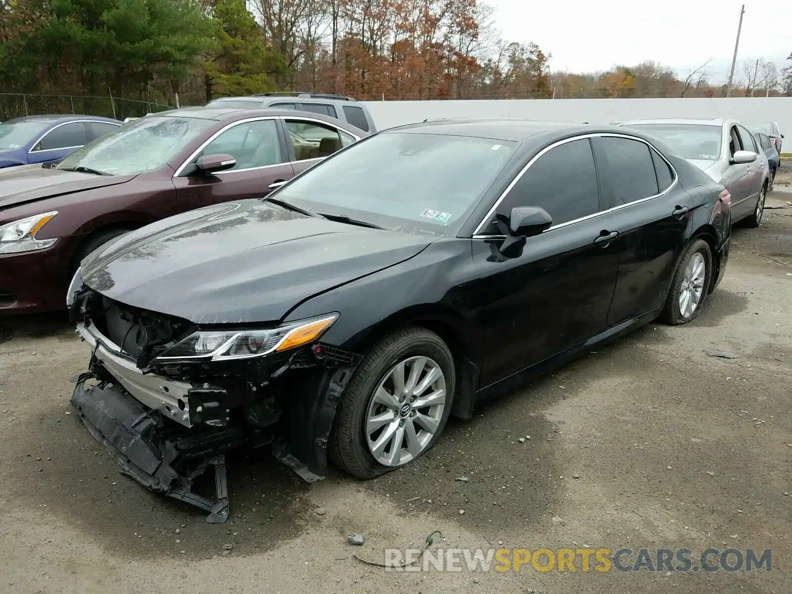 2 Photograph of a damaged car 4T1B11HK0KU825397 TOYOTA CAMRY 2019