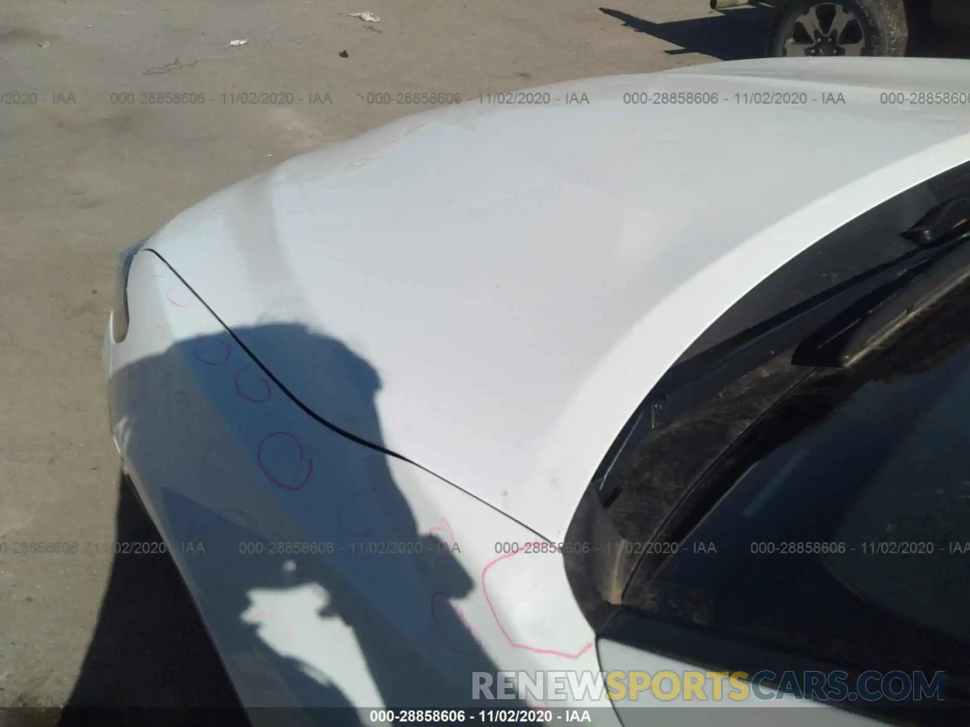 6 Photograph of a damaged car 4T1B11HK0KU830583 TOYOTA CAMRY 2019