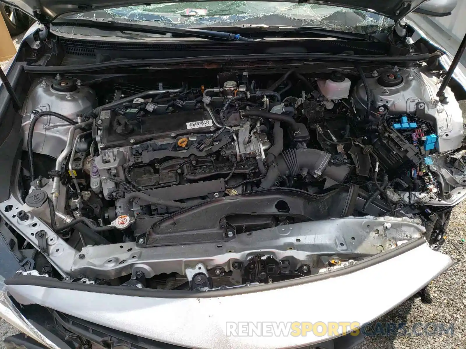 7 Photograph of a damaged car 4T1B11HK0KU831765 TOYOTA CAMRY 2019