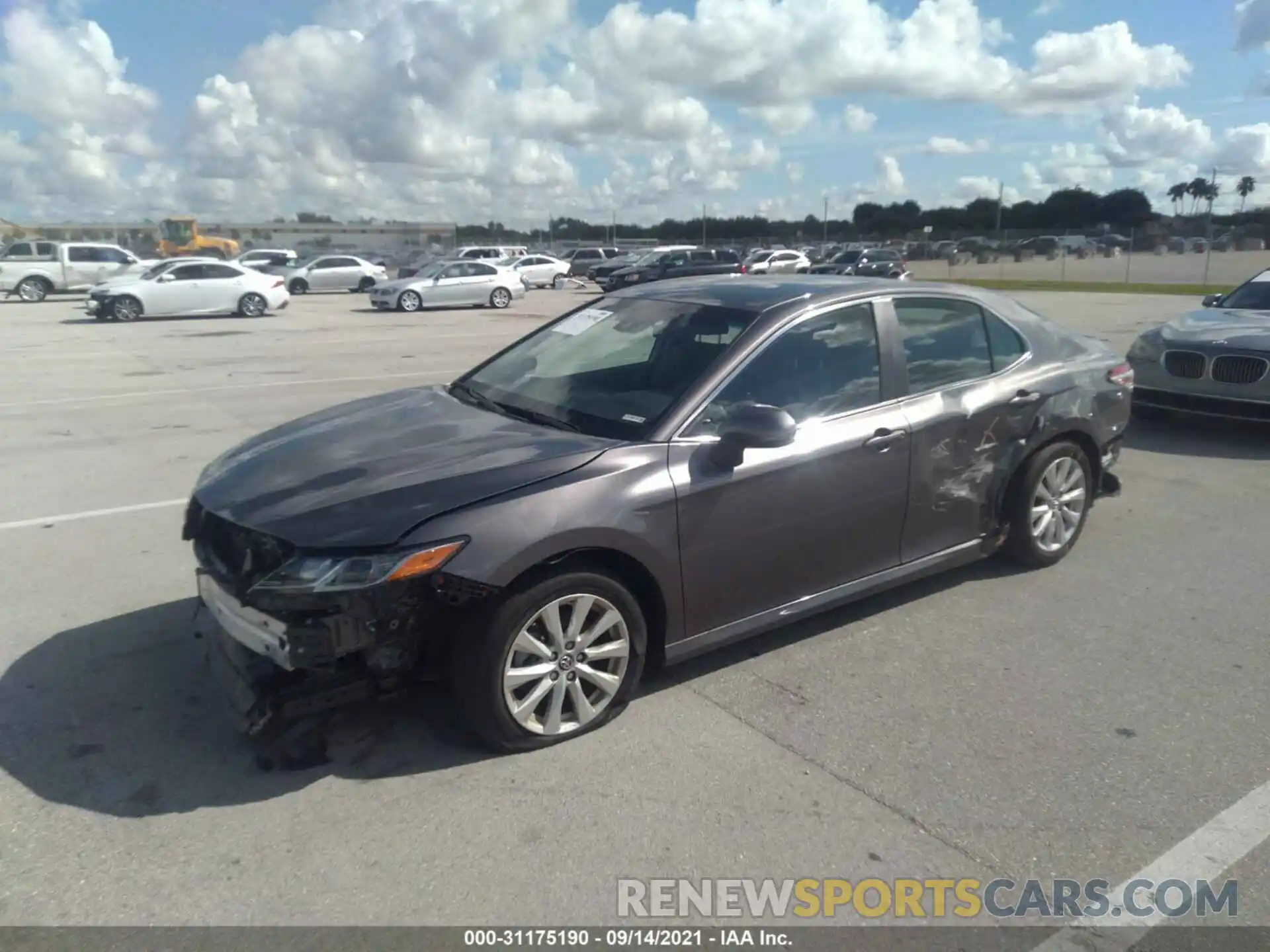 2 Photograph of a damaged car 4T1B11HK0KU847173 TOYOTA CAMRY 2019