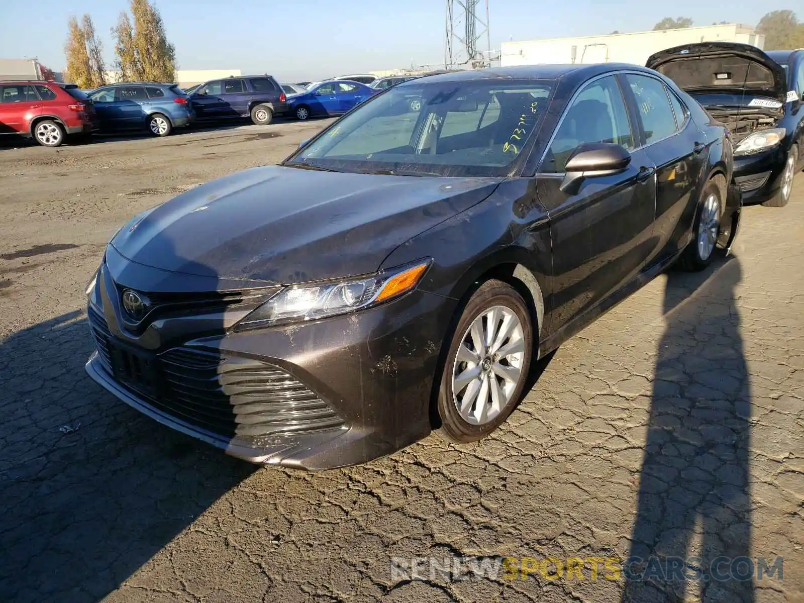 2 Photograph of a damaged car 4T1B11HK0KU856195 TOYOTA CAMRY 2019