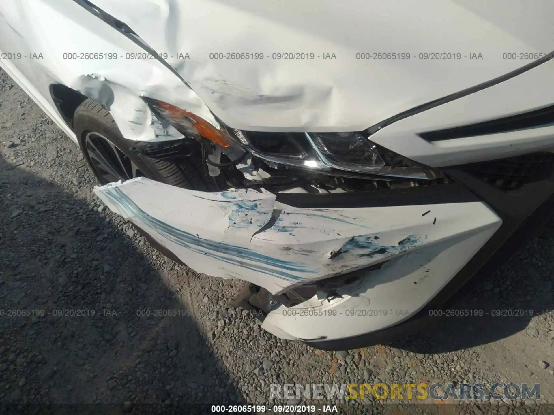 6 Photograph of a damaged car 4T1B11HK1KU166570 TOYOTA CAMRY 2019