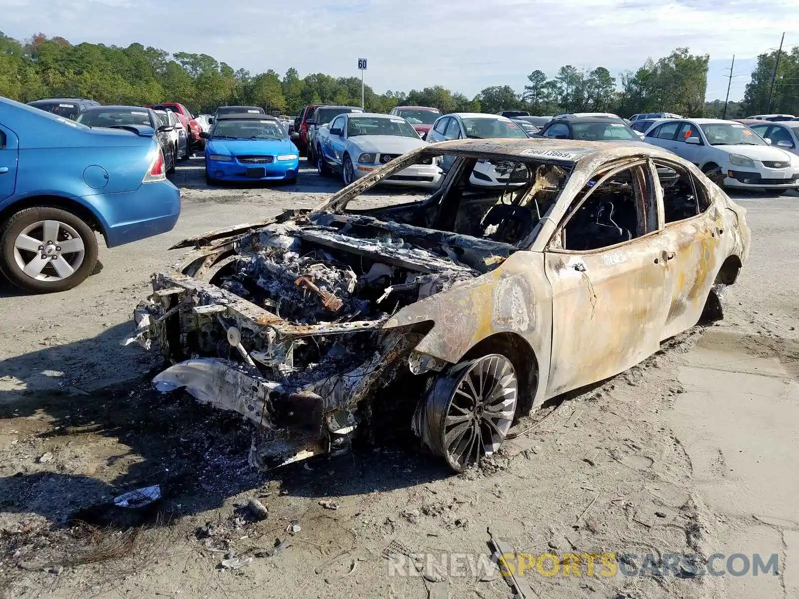 2 Photograph of a damaged car 4T1B11HK1KU167508 TOYOTA CAMRY 2019