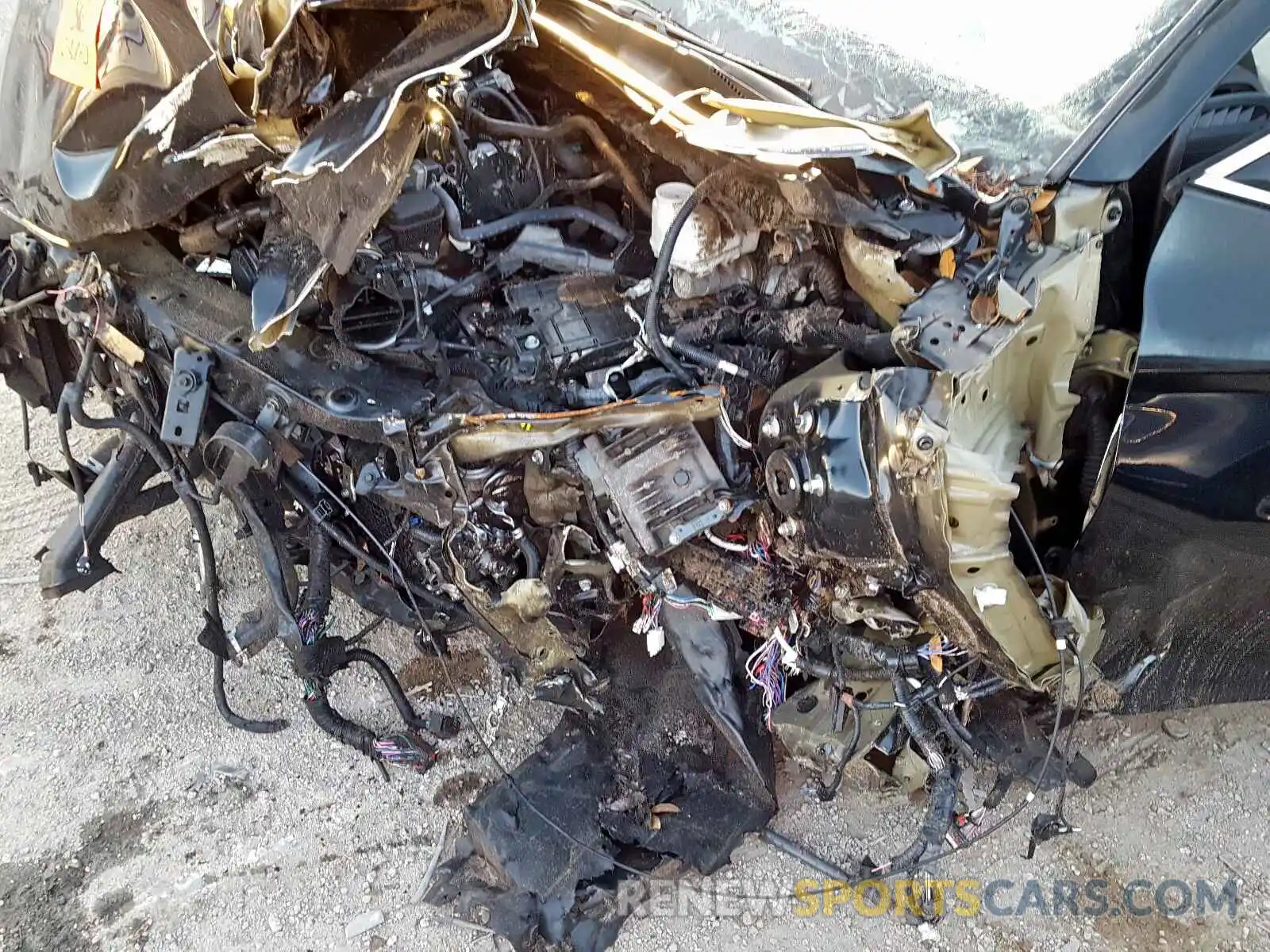 9 Photograph of a damaged car 4T1B11HK1KU208400 TOYOTA CAMRY 2019