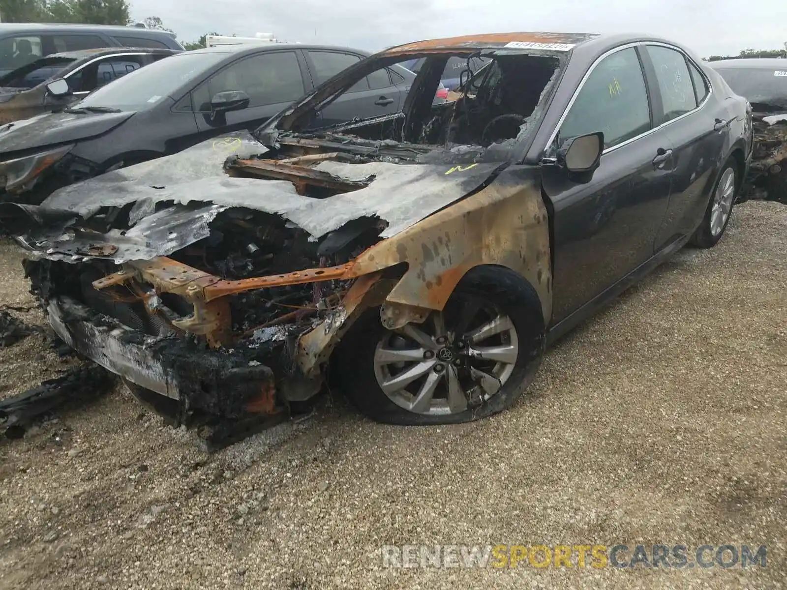 2 Photograph of a damaged car 4T1B11HK1KU229800 TOYOTA CAMRY 2019