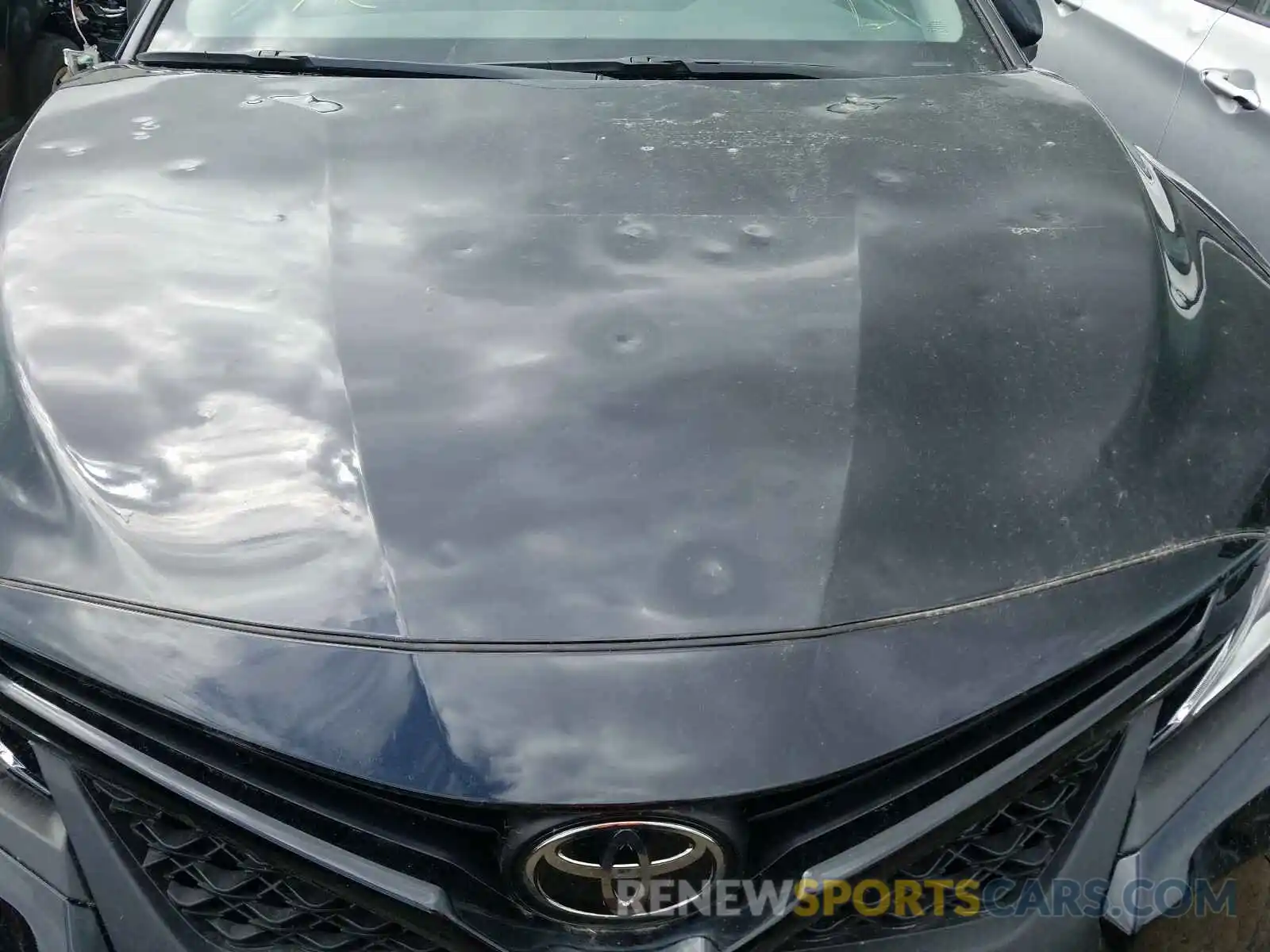 9 Photograph of a damaged car 4T1B11HK1KU255099 TOYOTA CAMRY 2019