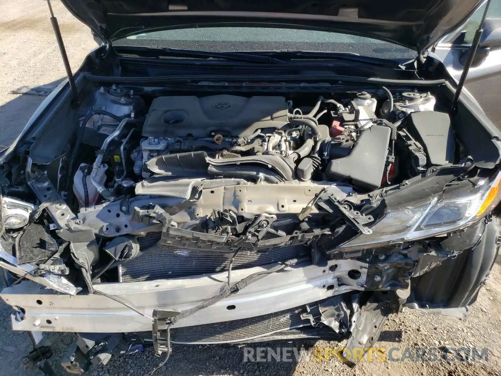7 Photograph of a damaged car 4T1B11HK1KU260819 TOYOTA CAMRY 2019