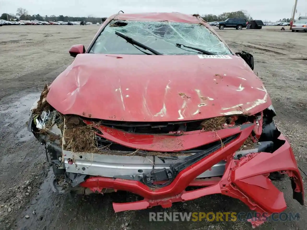 5 Photograph of a damaged car 4T1B11HK1KU281458 TOYOTA CAMRY 2019