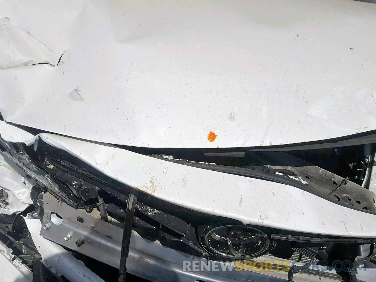 7 Photograph of a damaged car 4T1B11HK1KU682895 TOYOTA CAMRY 2019