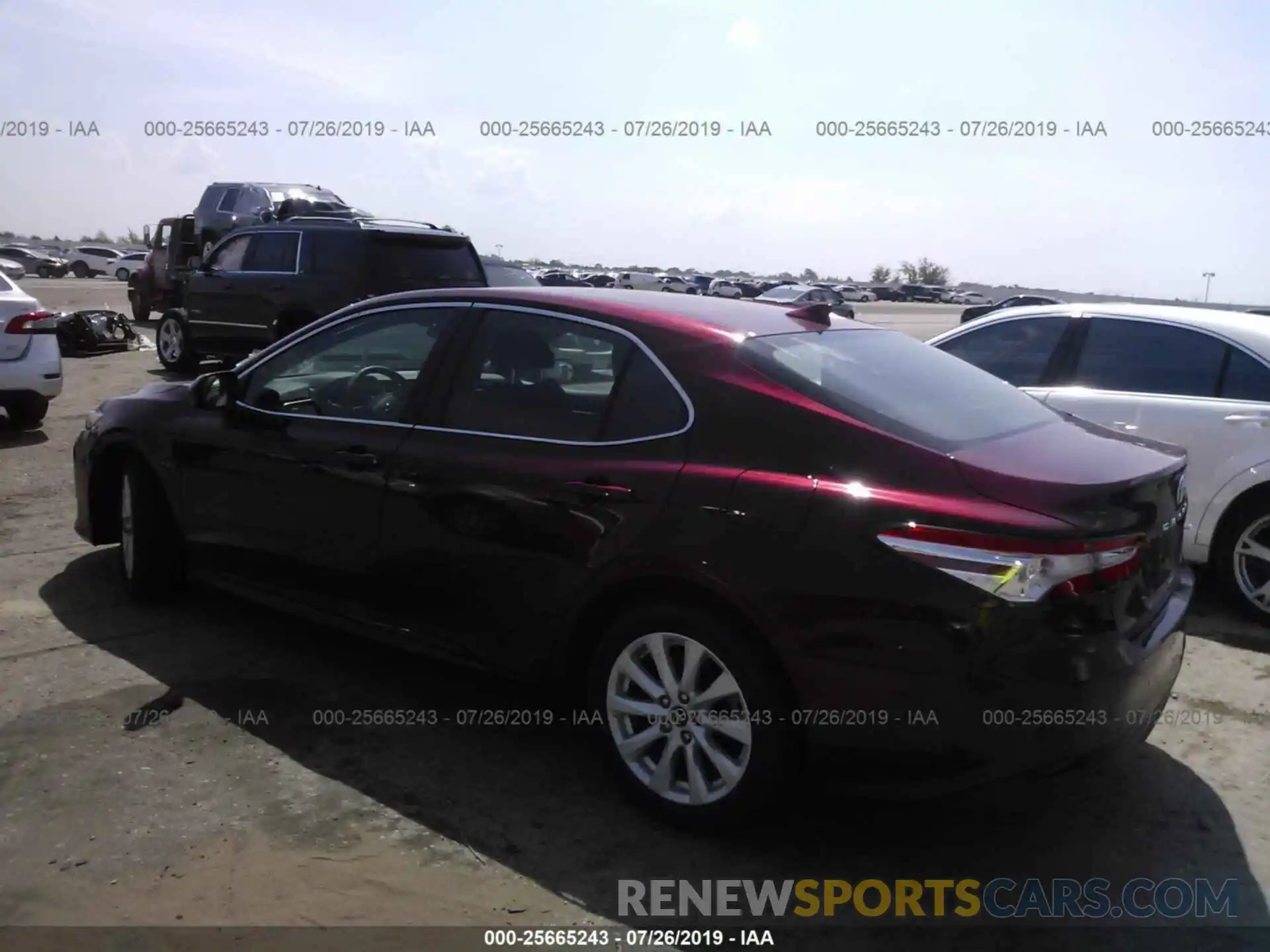 3 Photograph of a damaged car 4T1B11HK1KU687594 TOYOTA CAMRY 2019