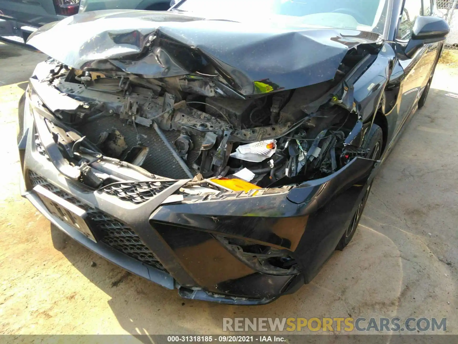 6 Photograph of a damaged car 4T1B11HK1KU689538 TOYOTA CAMRY 2019