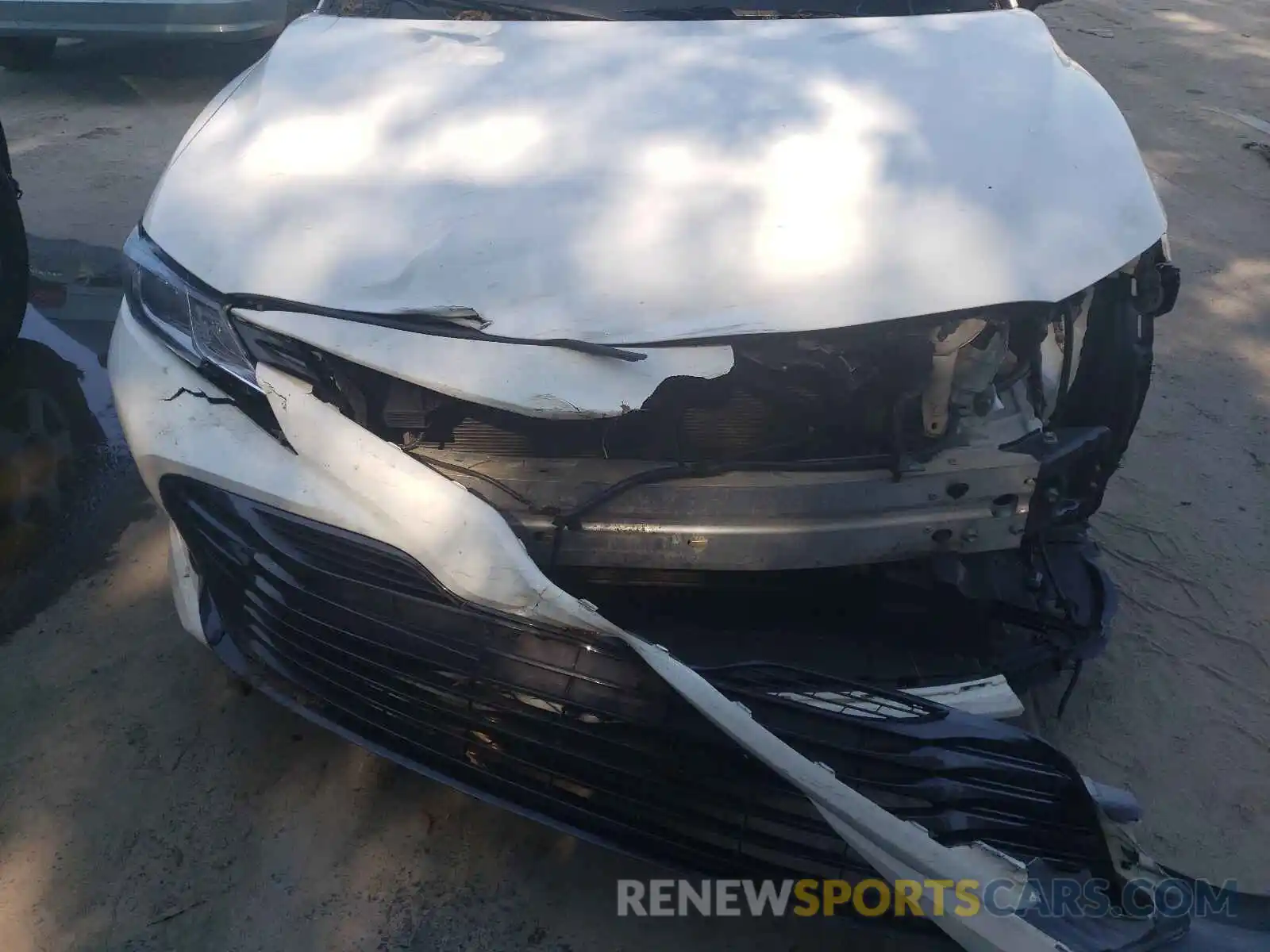 7 Photograph of a damaged car 4T1B11HK1KU691841 TOYOTA CAMRY 2019