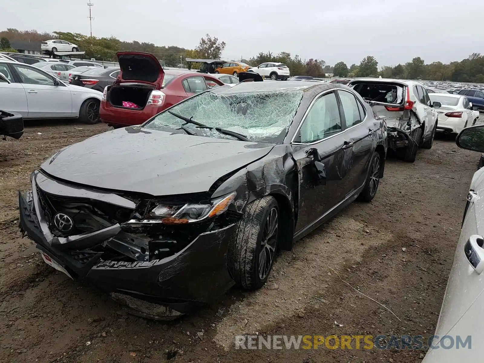 2 Photograph of a damaged car 4T1B11HK1KU695601 TOYOTA CAMRY 2019