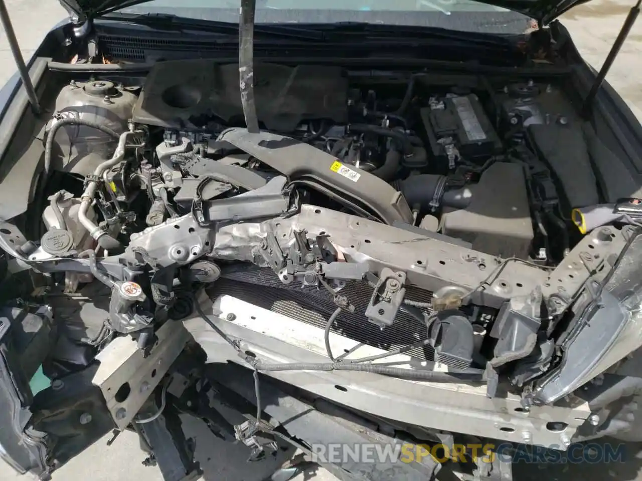 7 Photograph of a damaged car 4T1B11HK1KU704958 TOYOTA CAMRY 2019