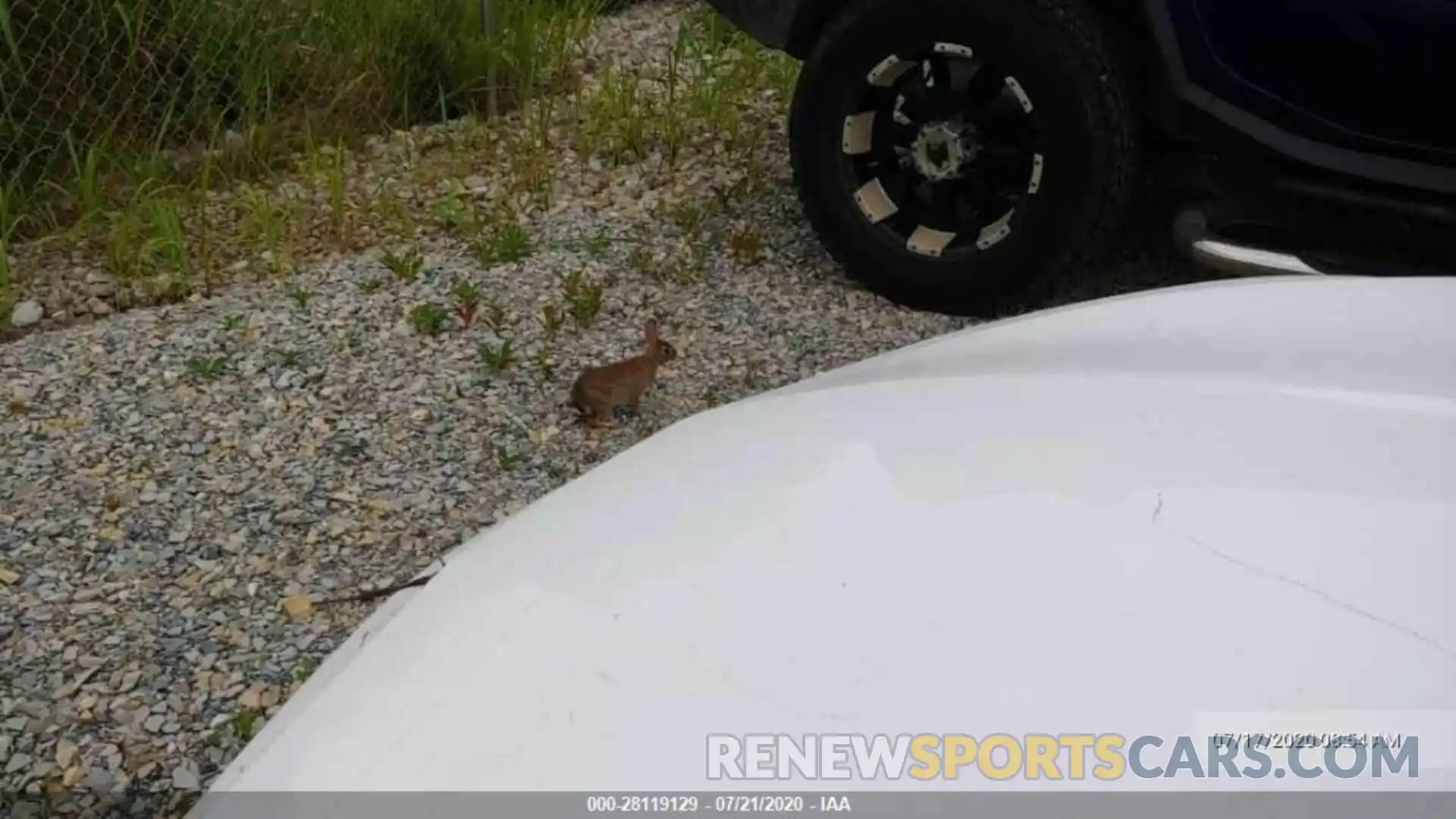 10 Photograph of a damaged car 4T1B11HK1KU739547 TOYOTA CAMRY 2019