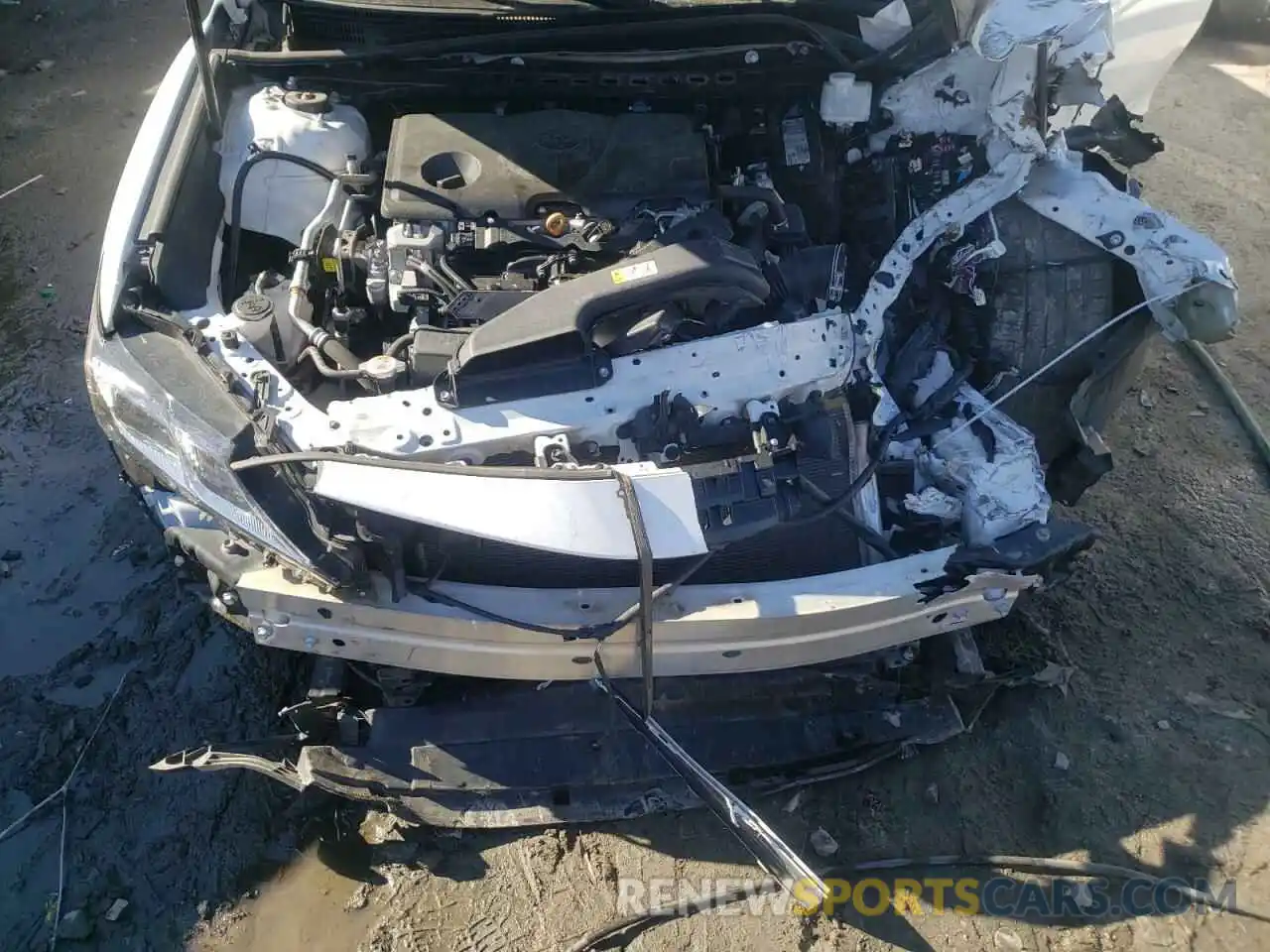 7 Photograph of a damaged car 4T1B11HK1KU767090 TOYOTA CAMRY 2019