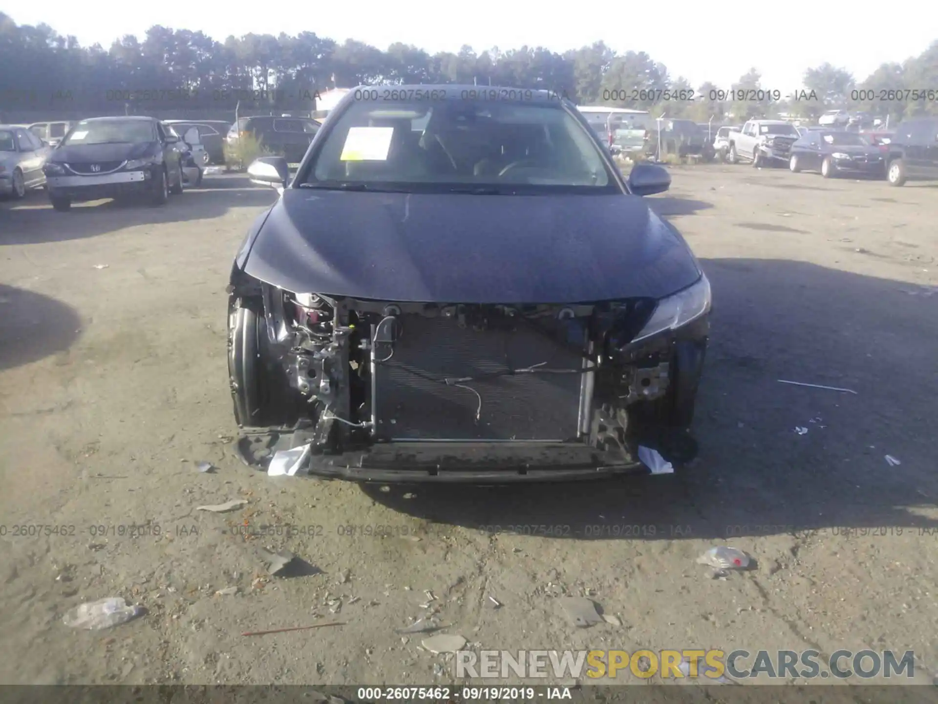 6 Photograph of a damaged car 4T1B11HK1KU769308 TOYOTA CAMRY 2019