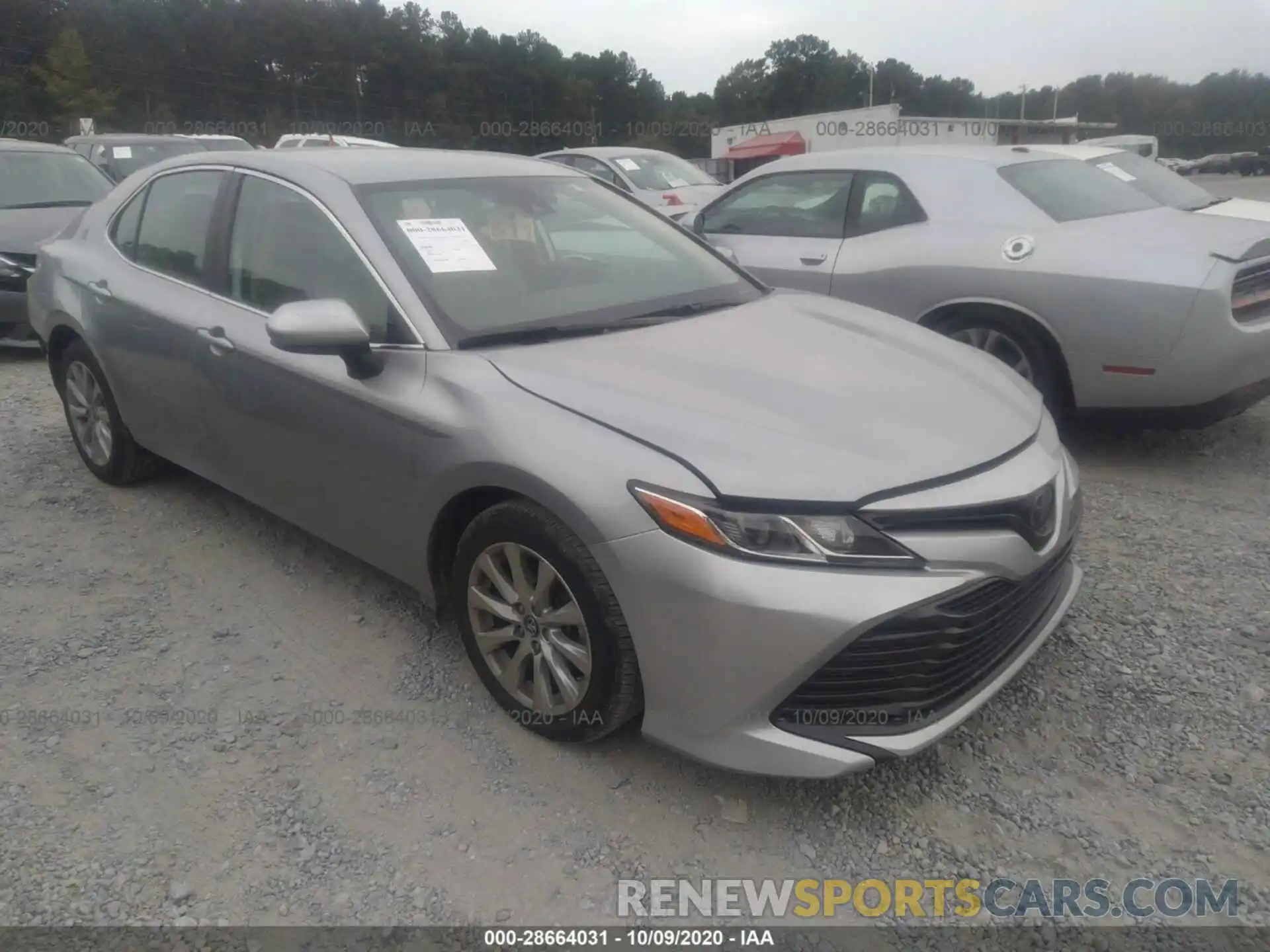 1 Photograph of a damaged car 4T1B11HK1KU781216 TOYOTA CAMRY 2019