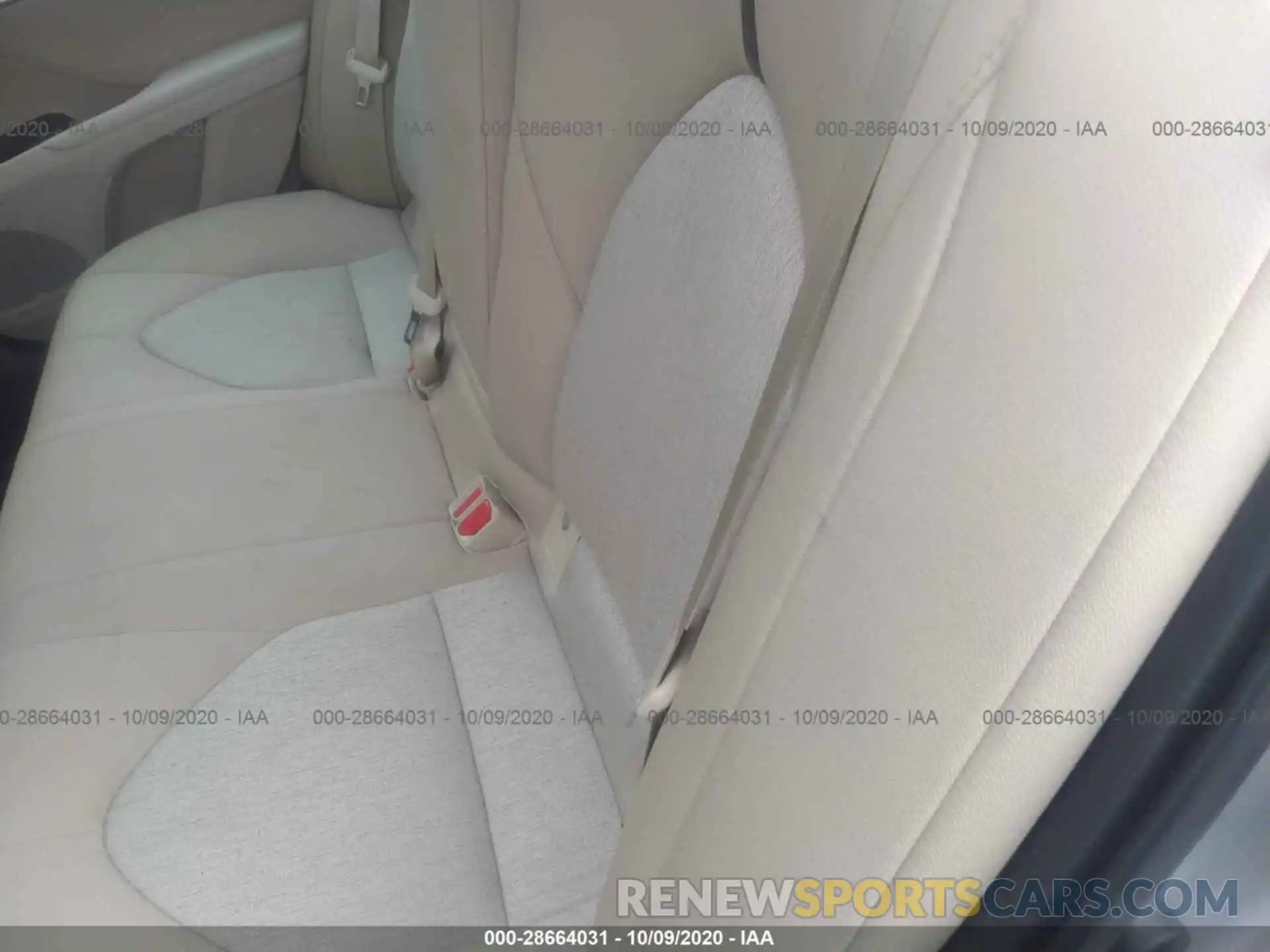 8 Photograph of a damaged car 4T1B11HK1KU781216 TOYOTA CAMRY 2019