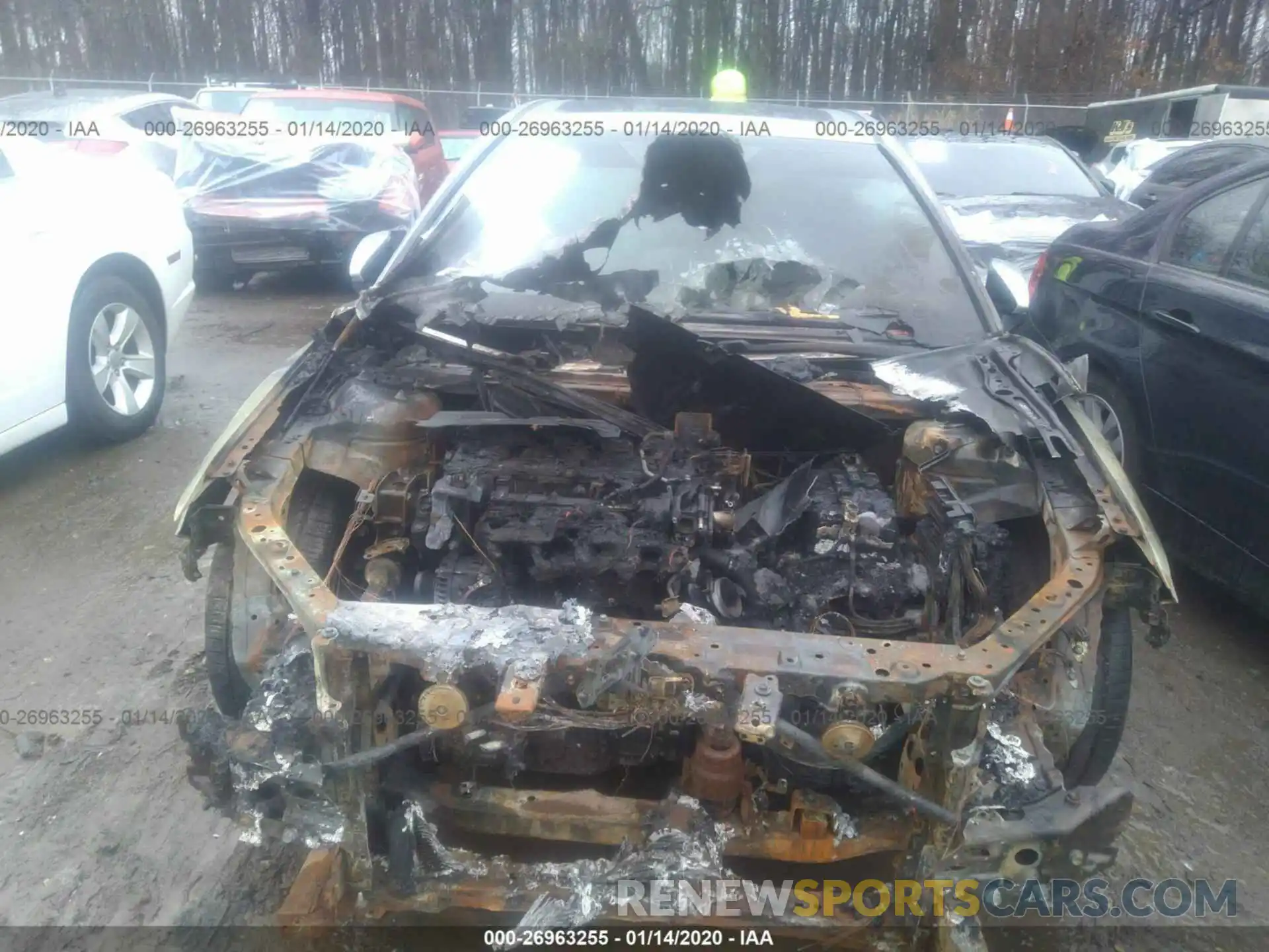 6 Photograph of a damaged car 4T1B11HK1KU784424 TOYOTA CAMRY 2019