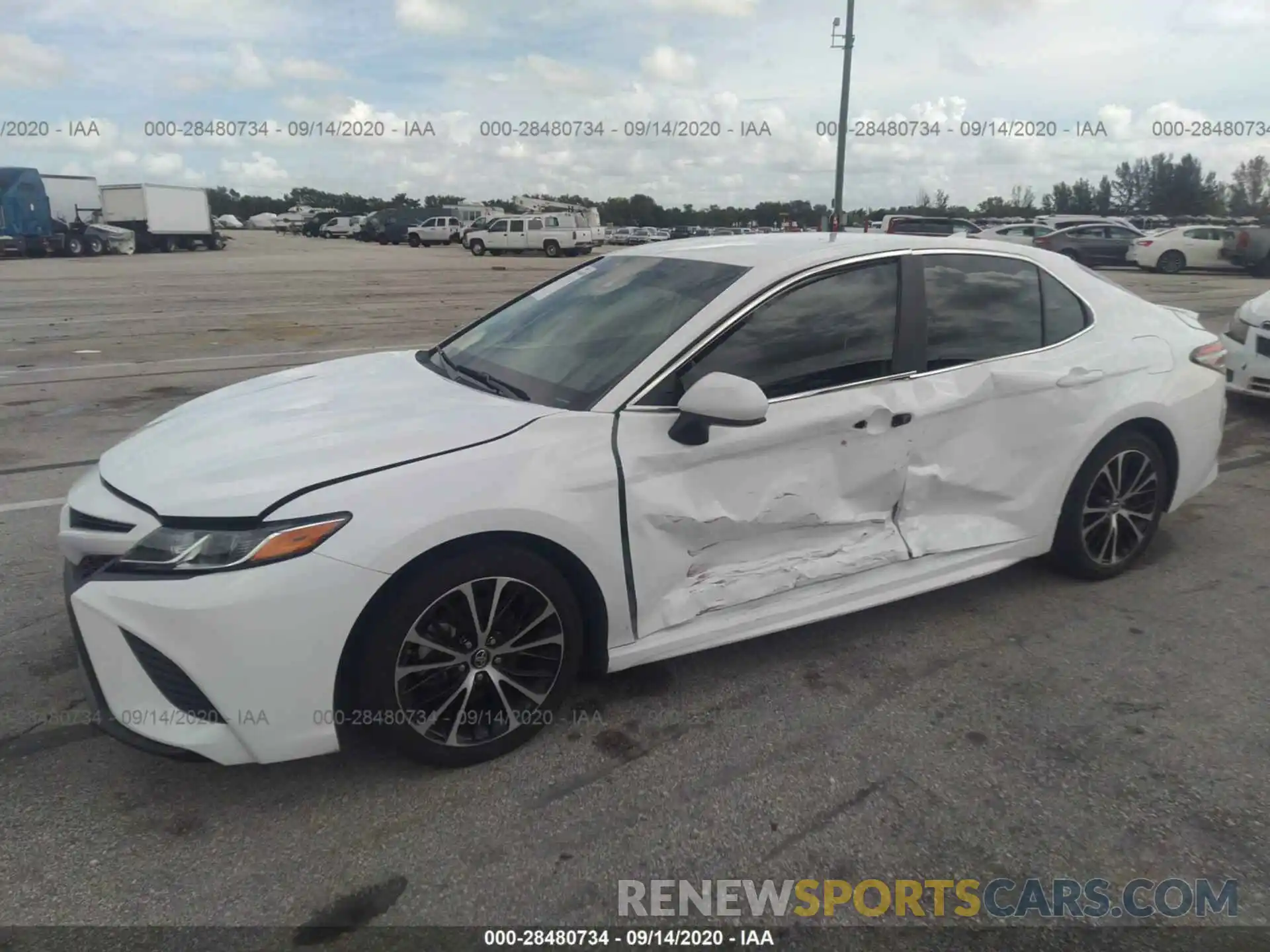 6 Photograph of a damaged car 4T1B11HK1KU800671 TOYOTA CAMRY 2019