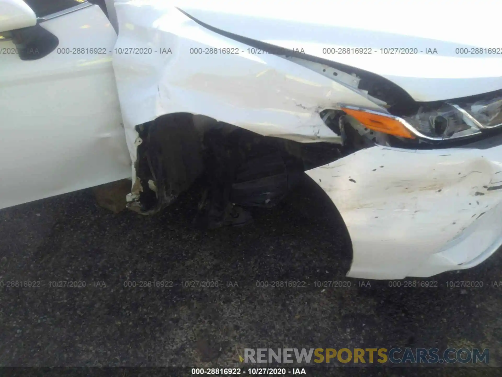 6 Photograph of a damaged car 4T1B11HK1KU804297 TOYOTA CAMRY 2019