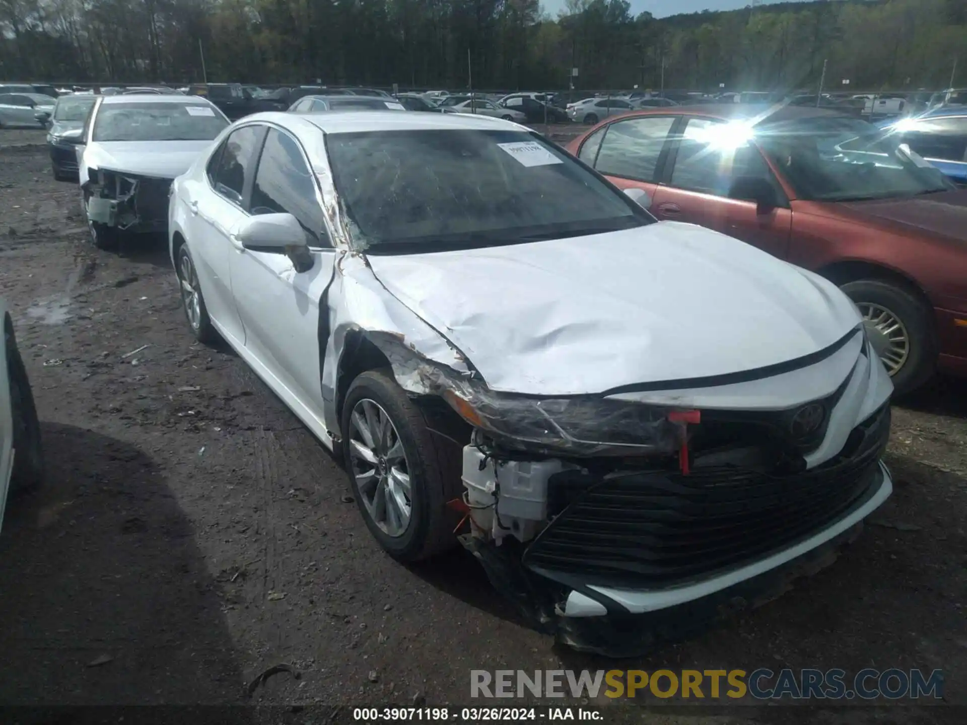 19 Photograph of a damaged car 4T1B11HK1KU808902 TOYOTA CAMRY 2019