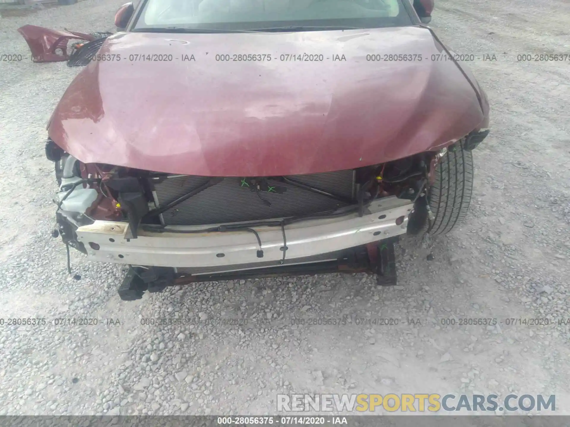 6 Photograph of a damaged car 4T1B11HK1KU847067 TOYOTA CAMRY 2019