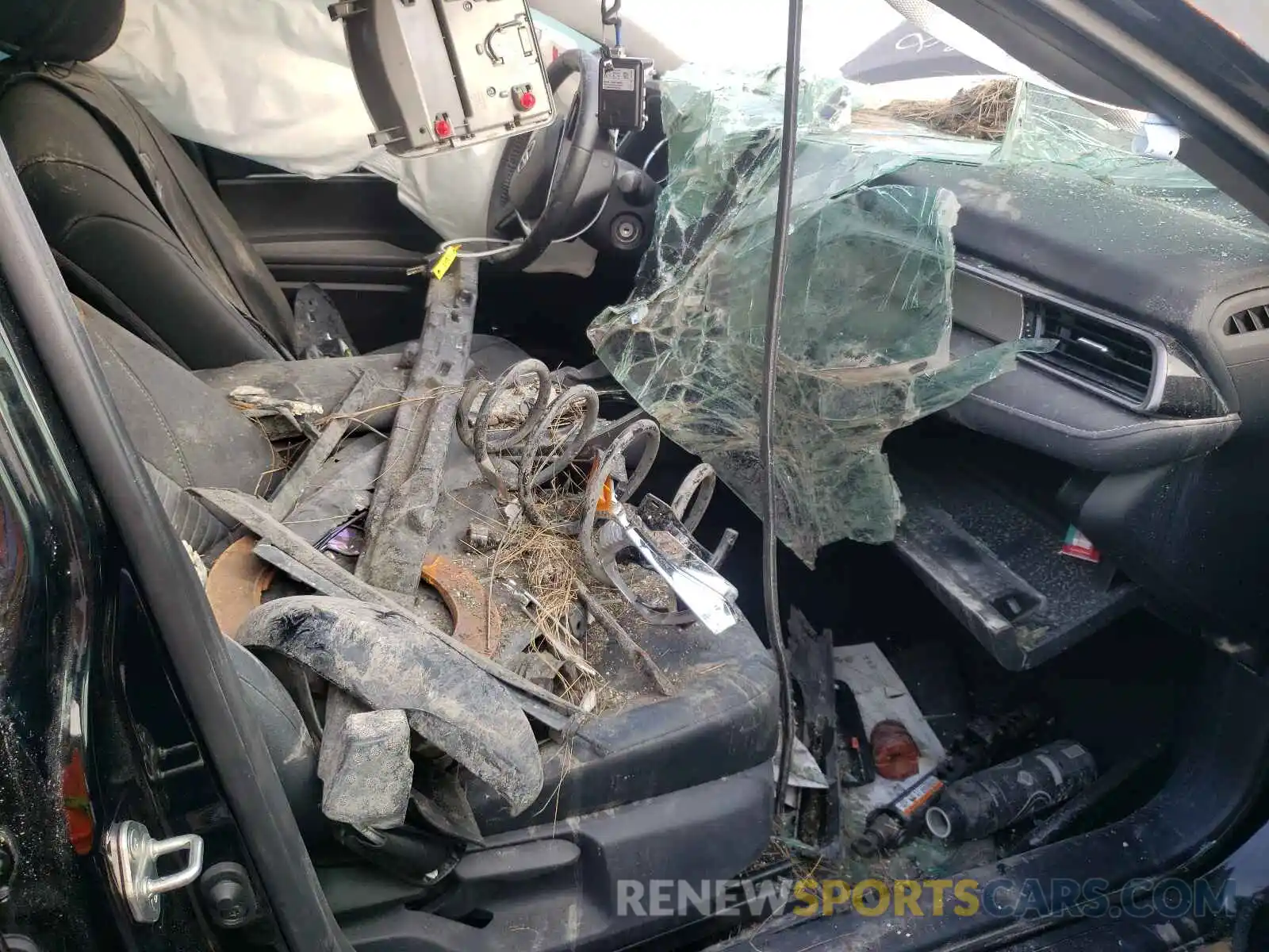 5 Photograph of a damaged car 4T1B11HK1KU856478 TOYOTA CAMRY 2019