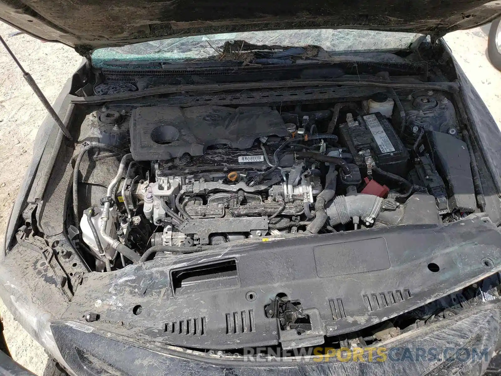 7 Photograph of a damaged car 4T1B11HK1KU856478 TOYOTA CAMRY 2019