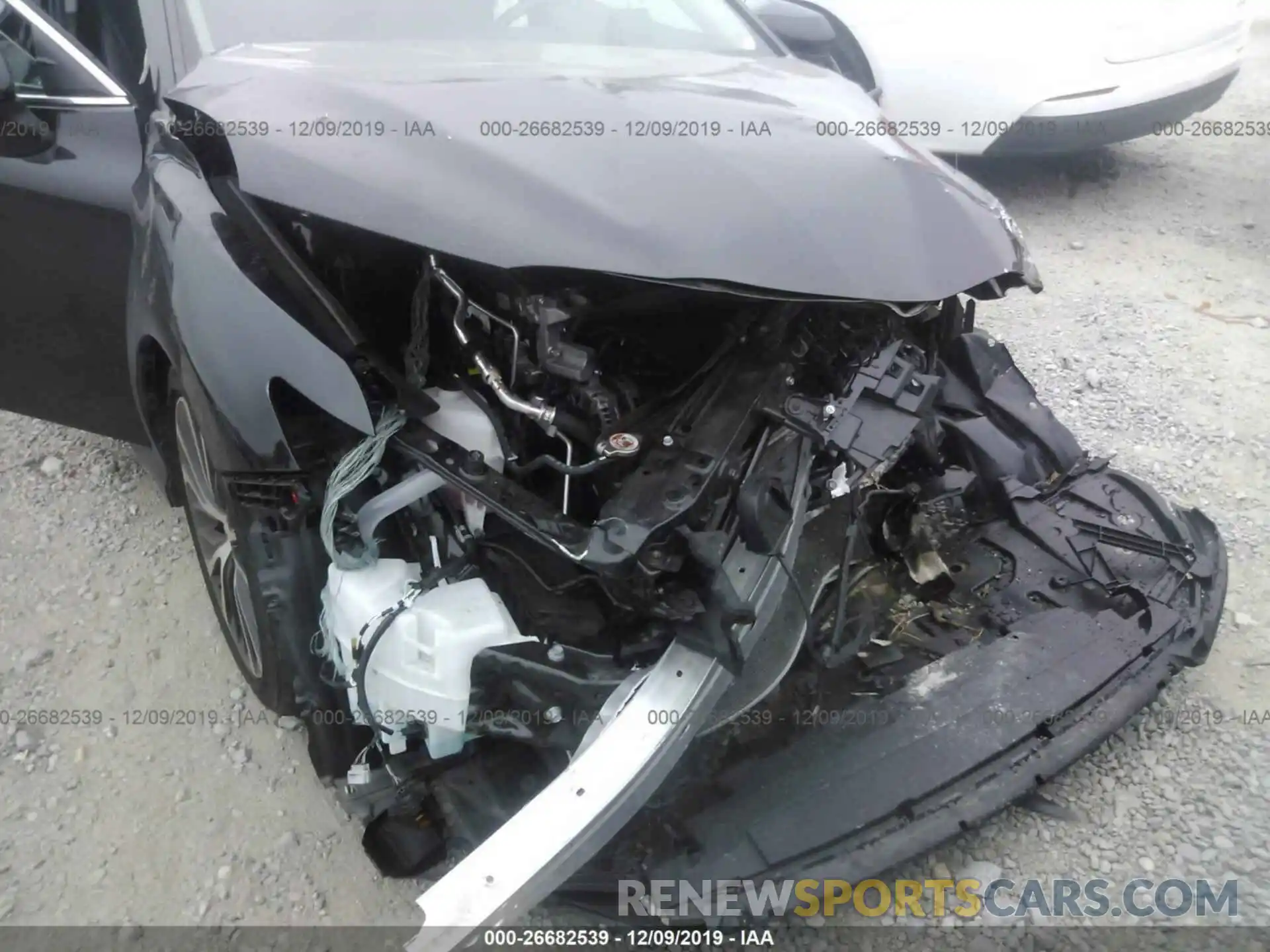 6 Photograph of a damaged car 4T1B11HK2KU164133 TOYOTA CAMRY 2019