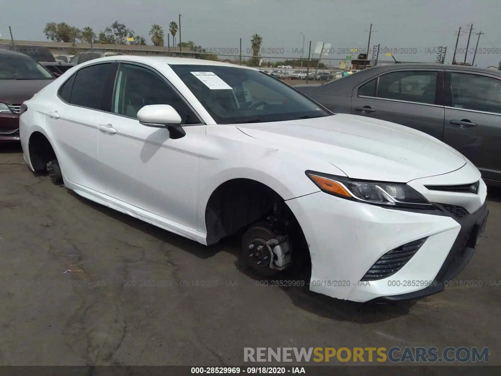 1 Photograph of a damaged car 4T1B11HK2KU167596 TOYOTA CAMRY 2019