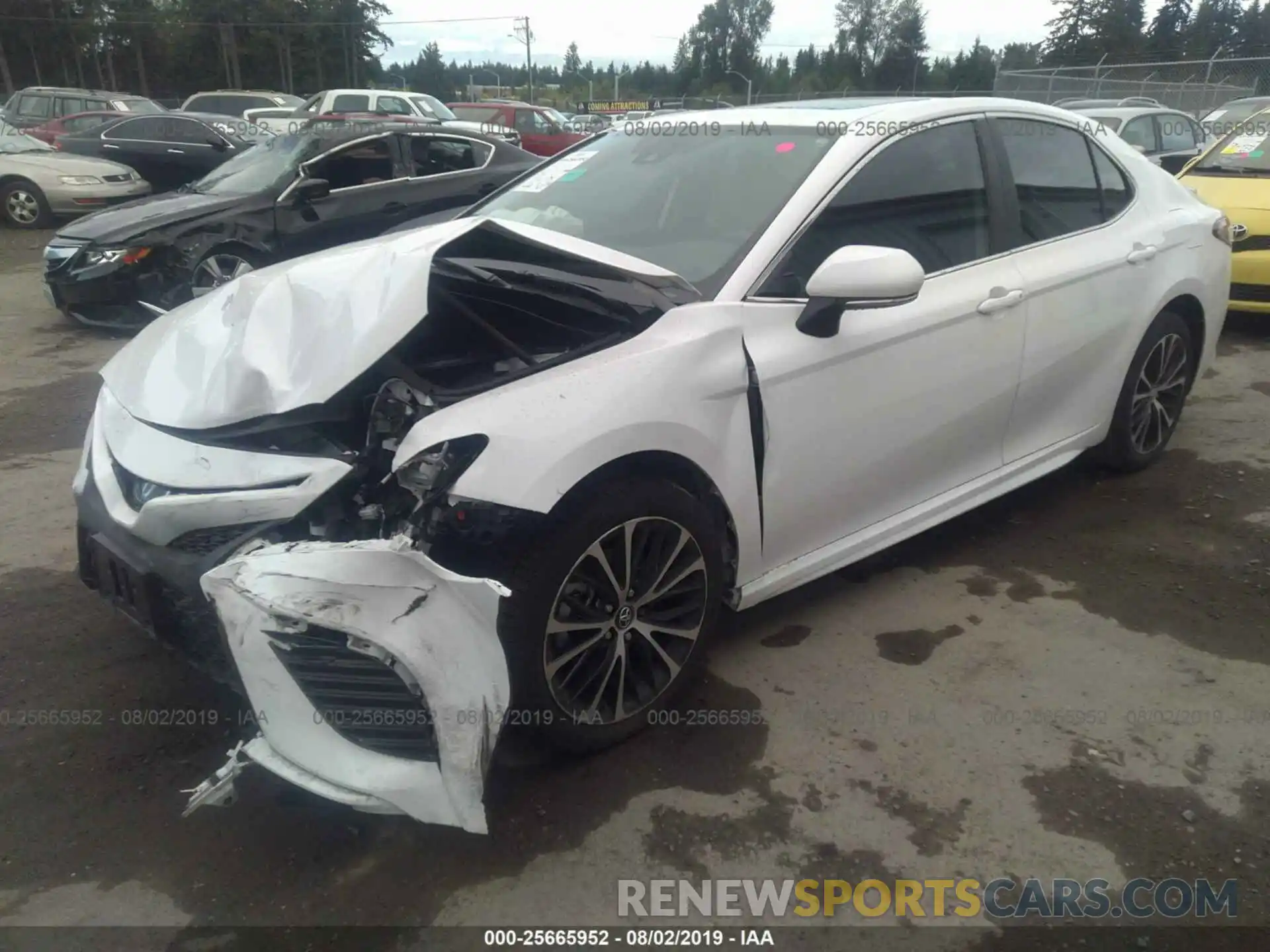 2 Photograph of a damaged car 4T1B11HK2KU171888 TOYOTA CAMRY 2019