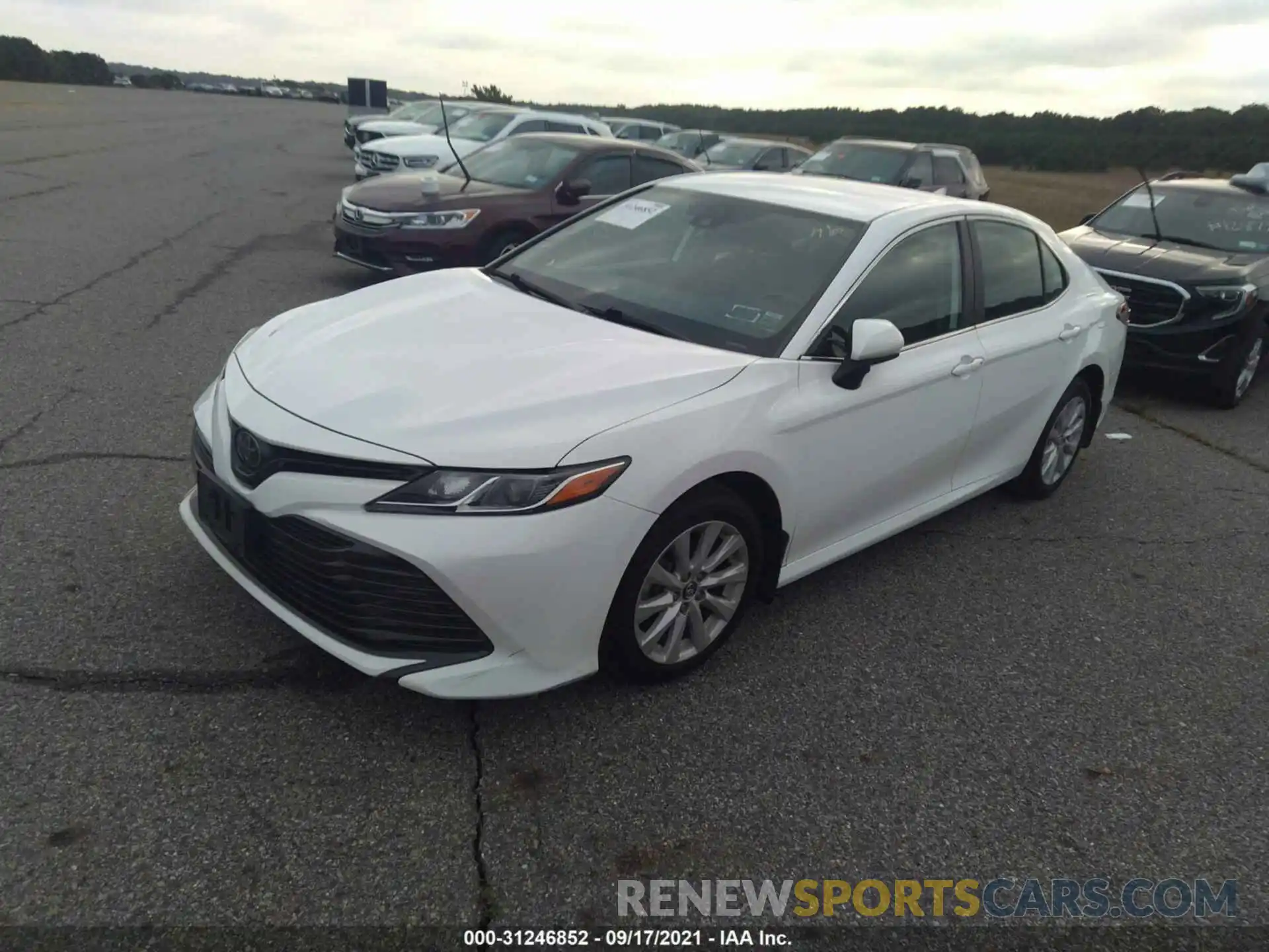 2 Photograph of a damaged car 4T1B11HK2KU290671 TOYOTA CAMRY 2019