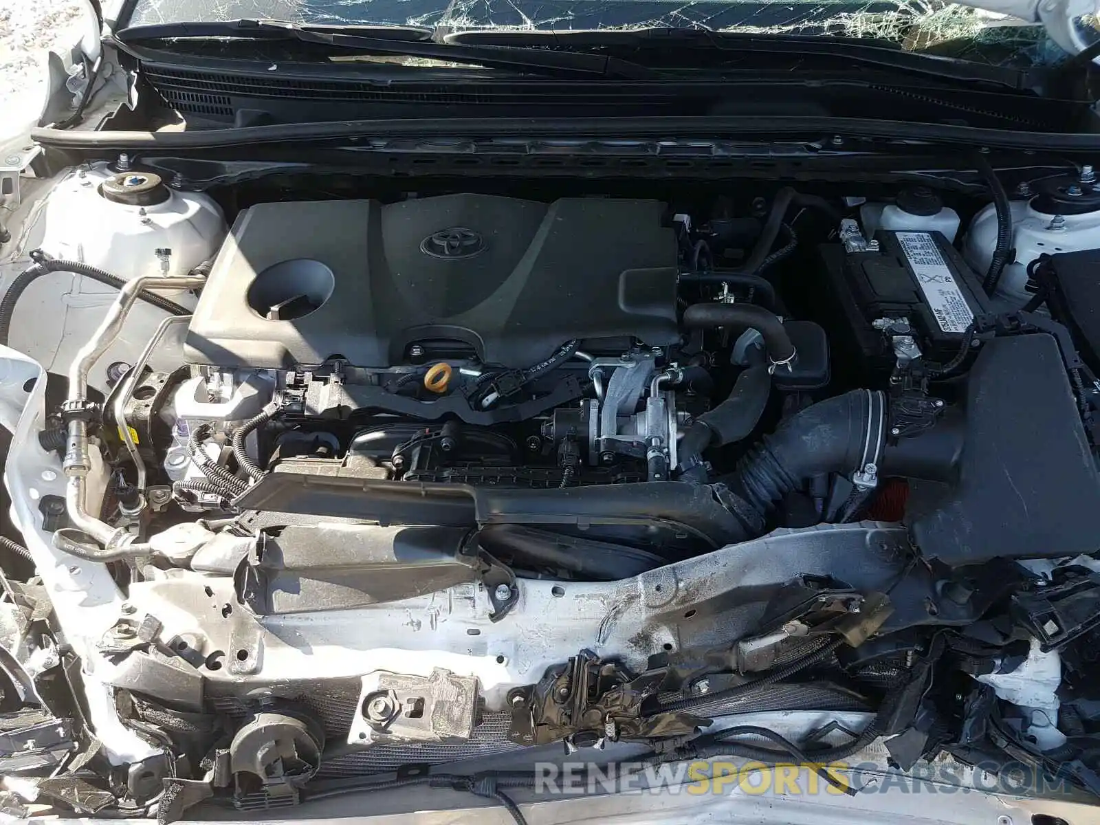 7 Photograph of a damaged car 4T1B11HK2KU690486 TOYOTA CAMRY 2019