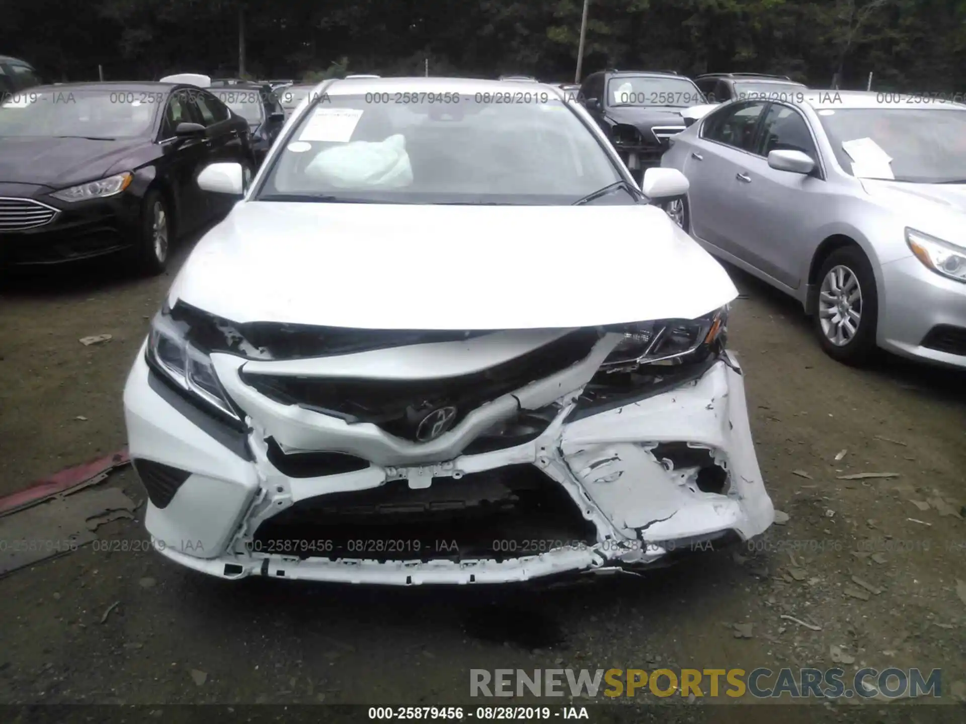 6 Photograph of a damaged car 4T1B11HK2KU698961 TOYOTA CAMRY 2019