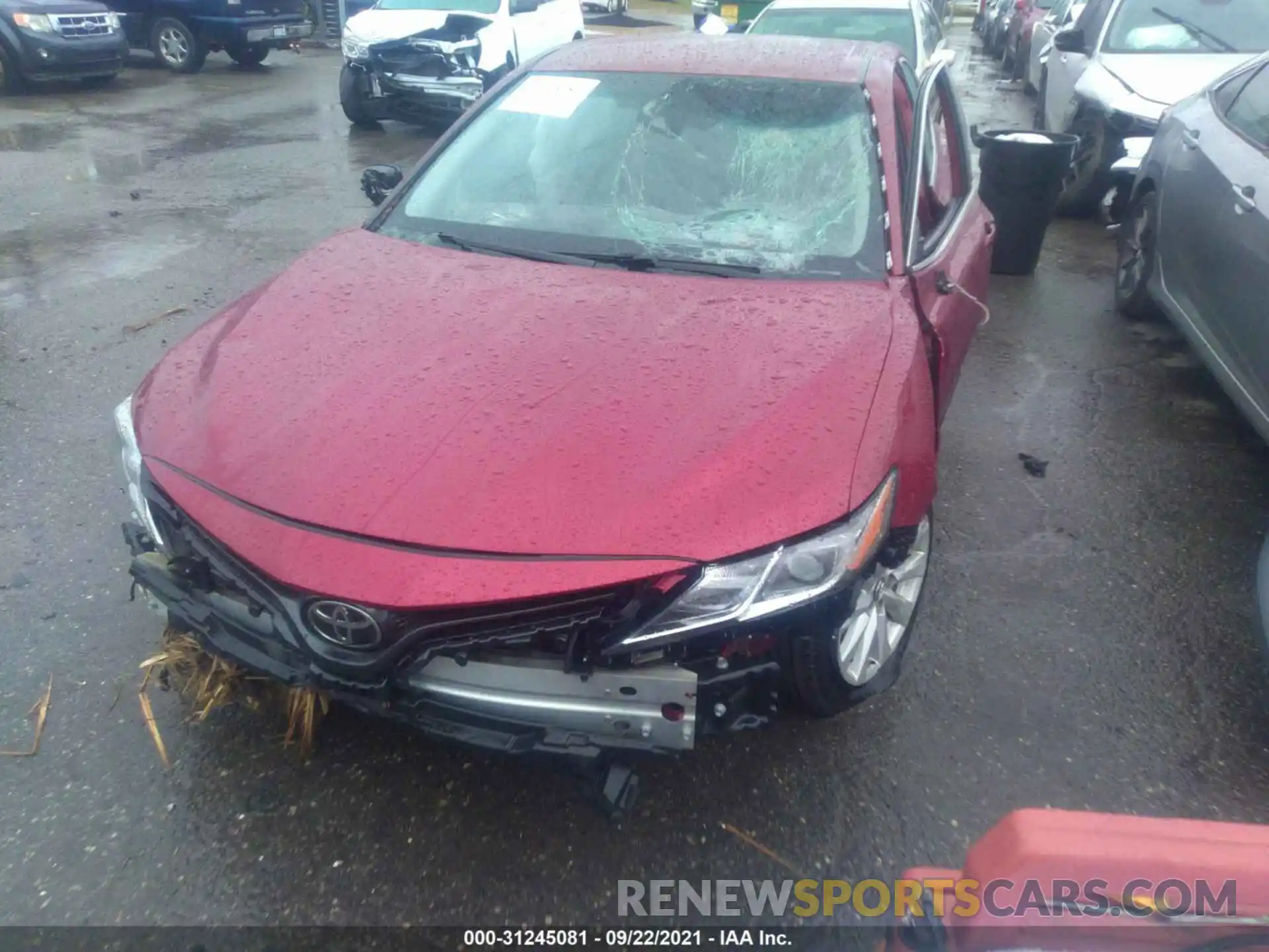 6 Photograph of a damaged car 4T1B11HK2KU708422 TOYOTA CAMRY 2019