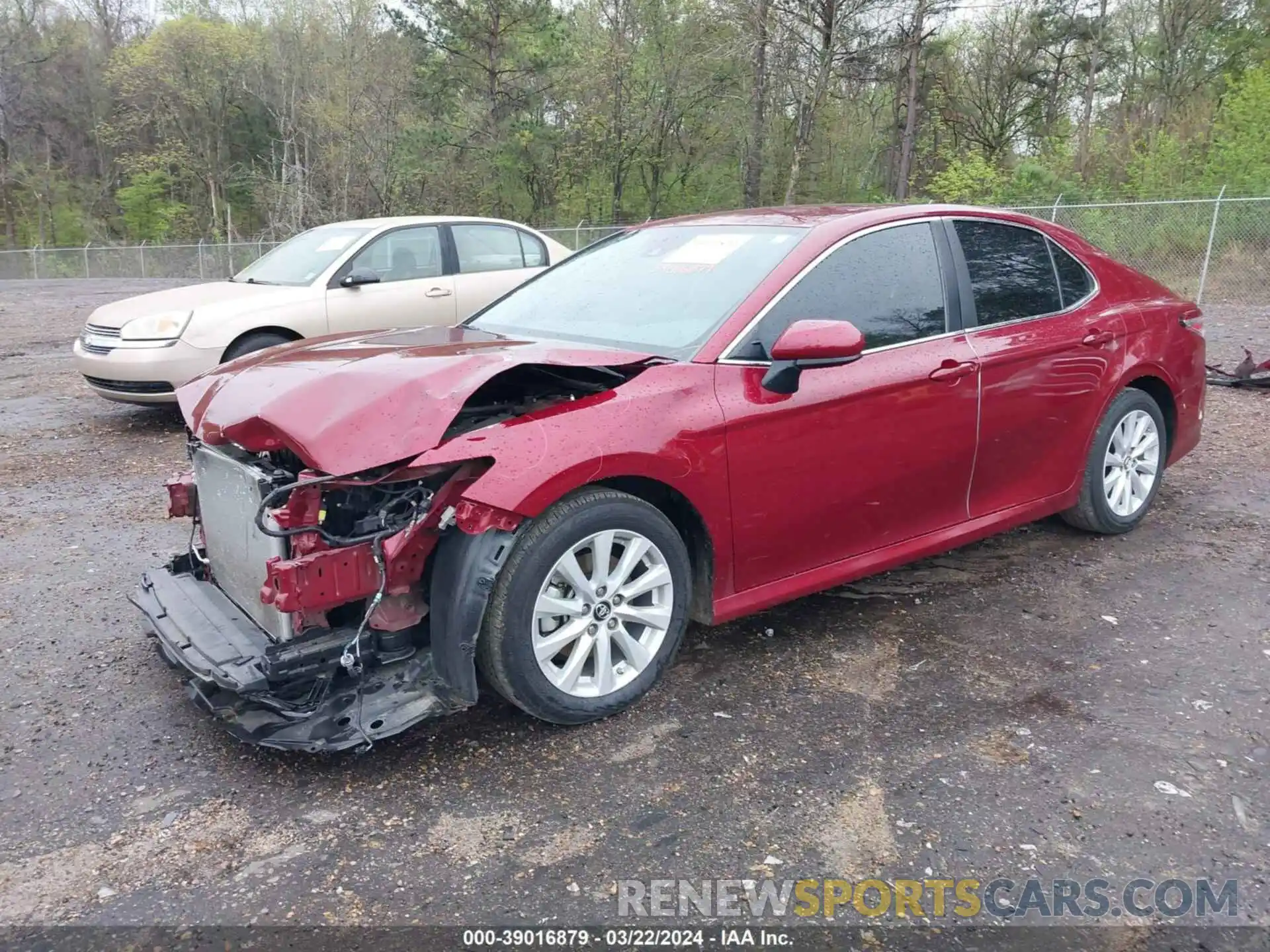 2 Photograph of a damaged car 4T1B11HK2KU708937 TOYOTA CAMRY 2019